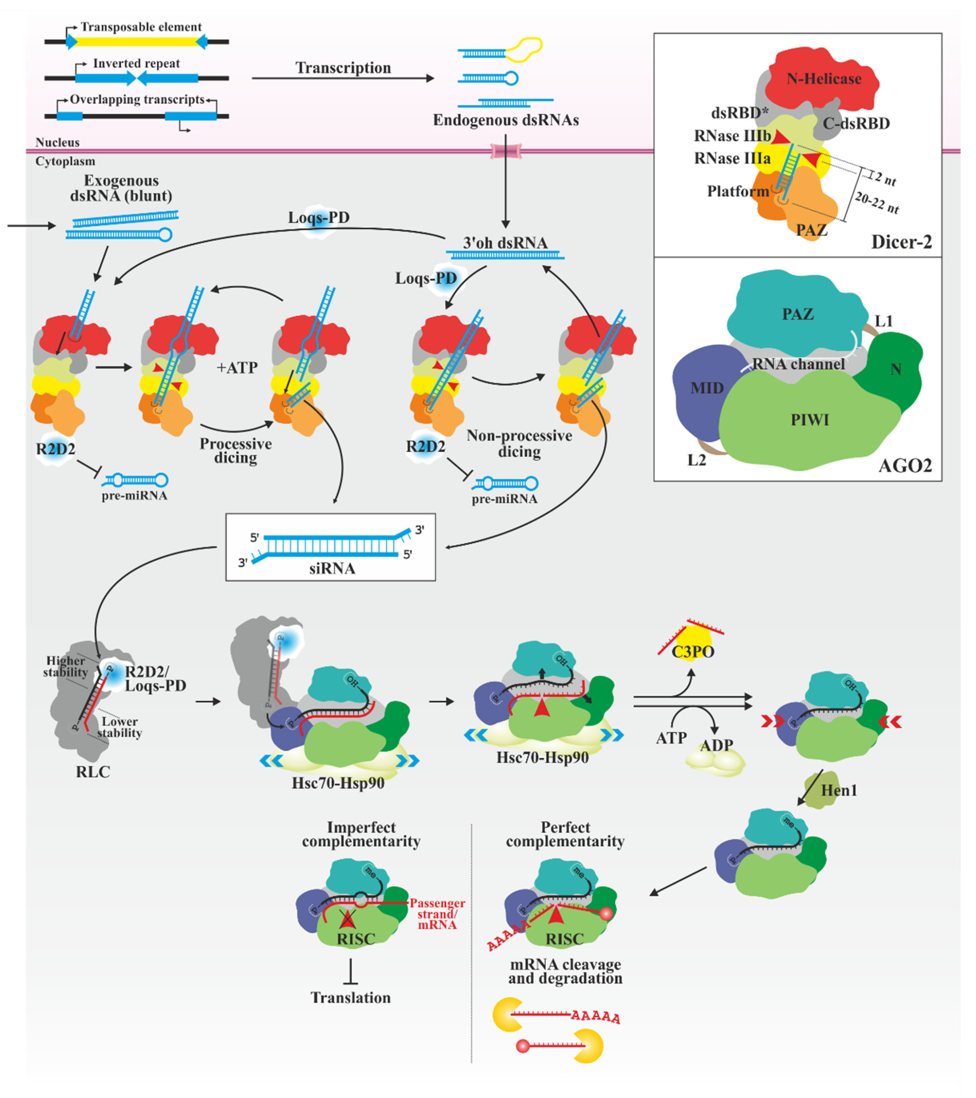 Biology 13 00137 g001 Biology 13 00137 g001
