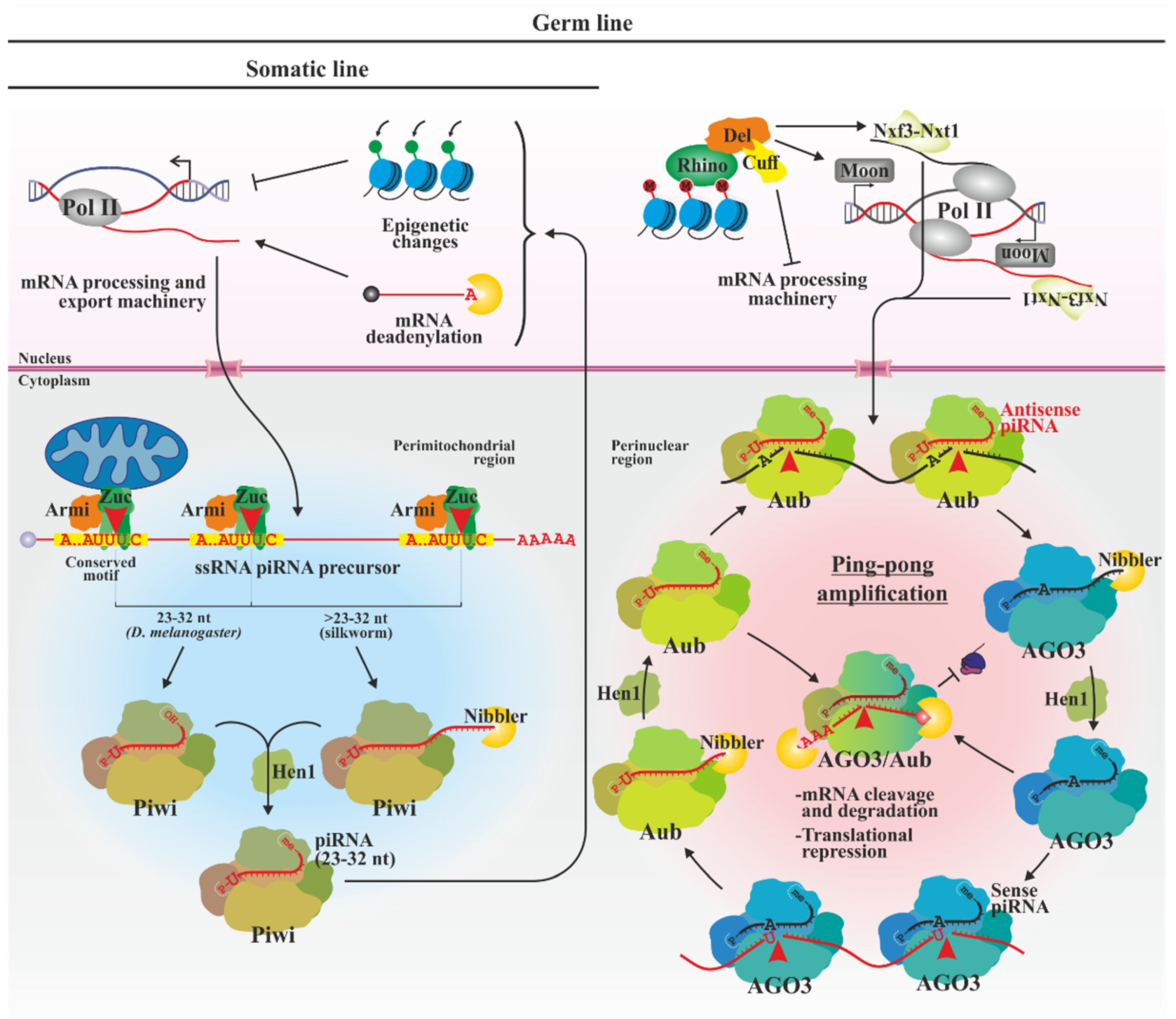Biology 13 00137 g003 Biology 13 00137 g003