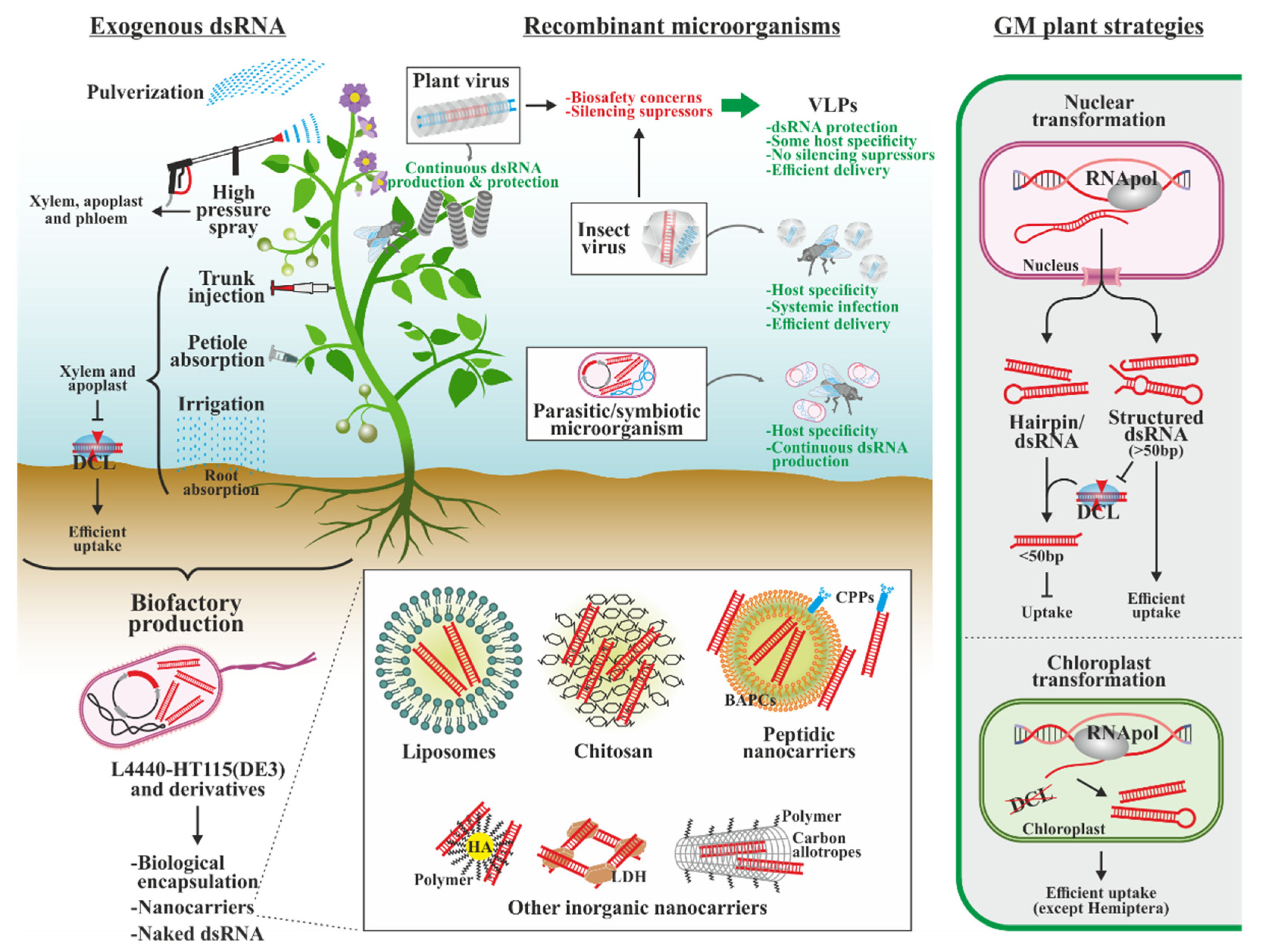 Biology 13 00137 g005 Biology 13 00137 g005