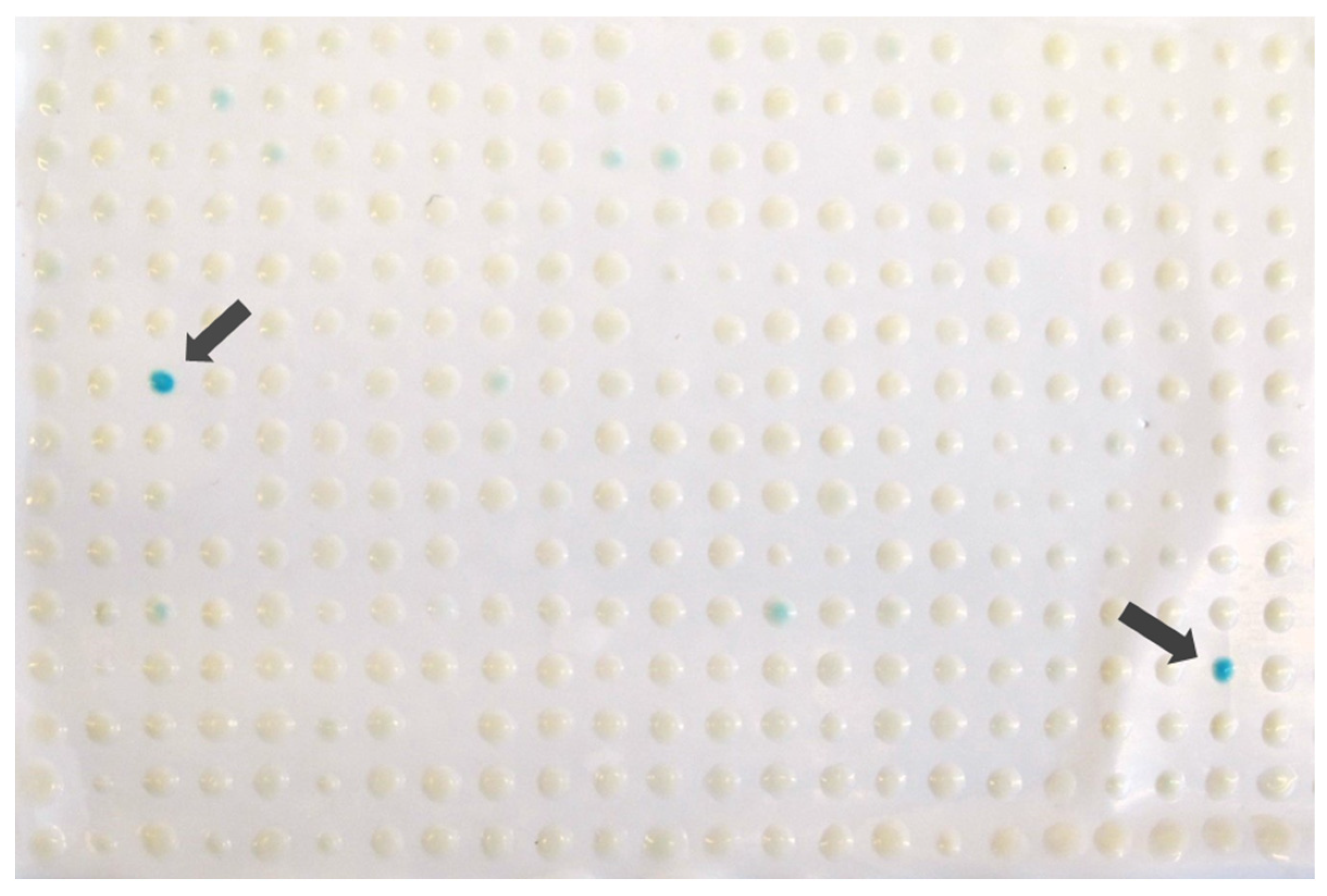 Biology 13 00138 g001 Biology 13 00138 g001