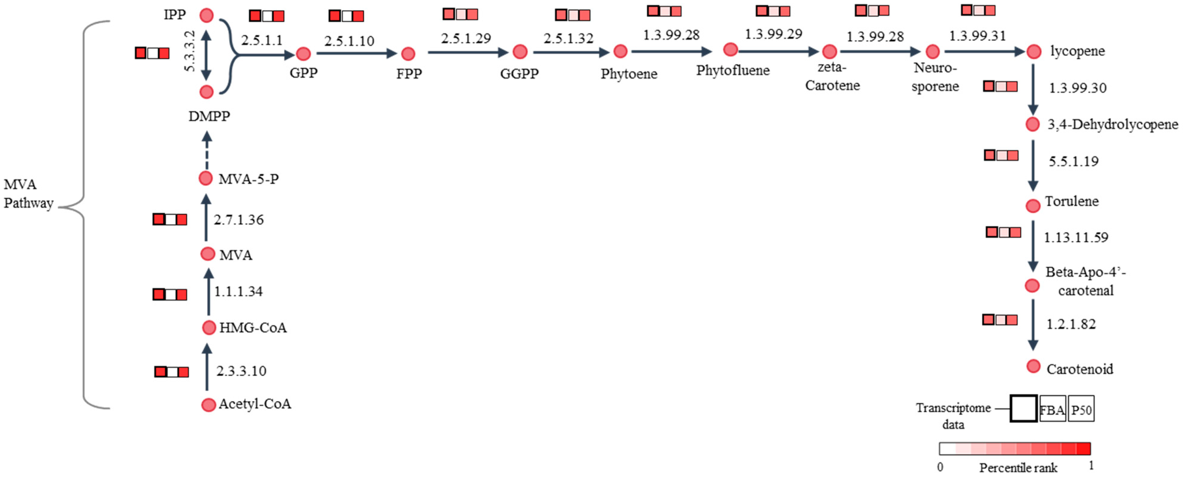 Biology 13 00139 g005