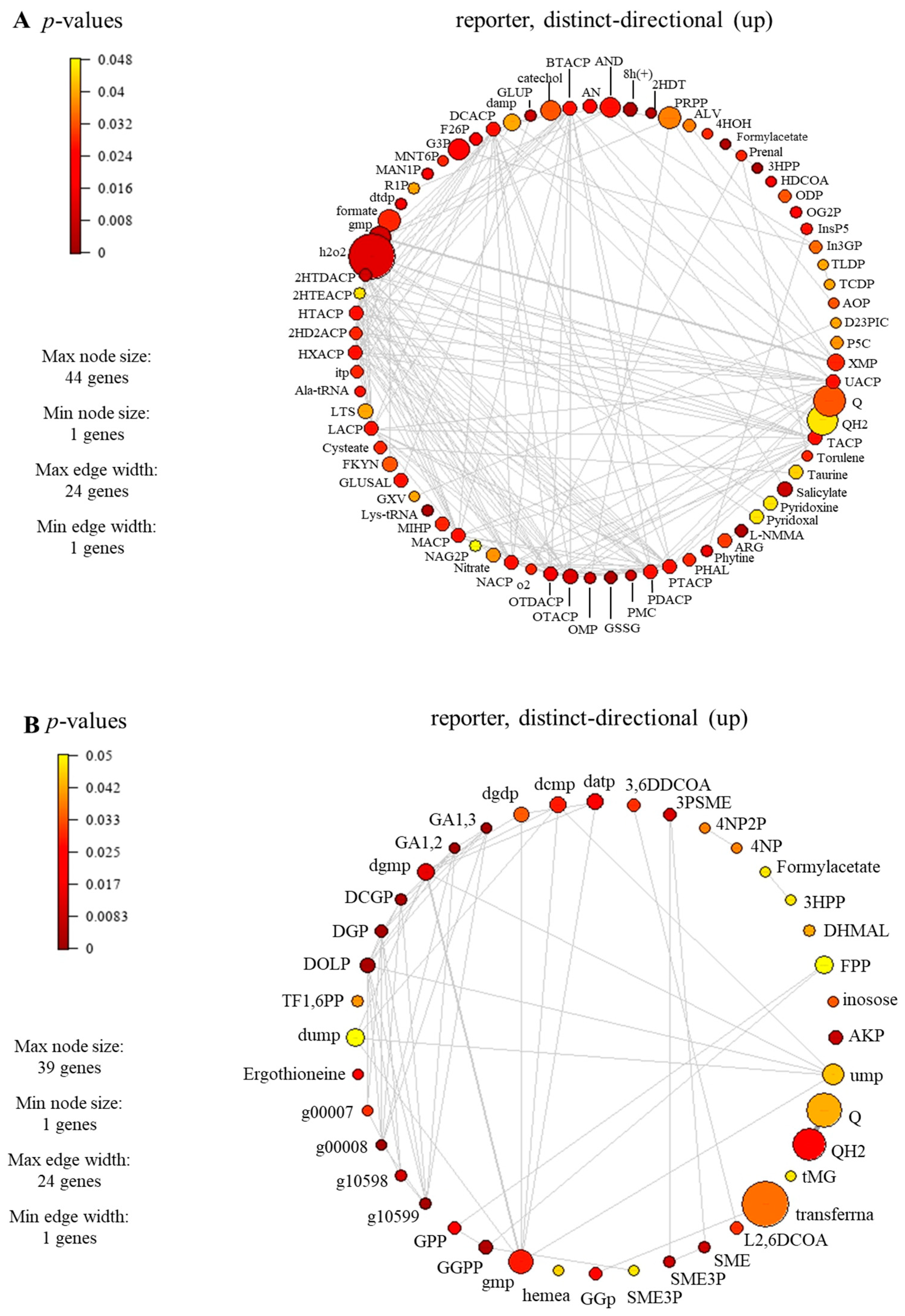 Biology 13 00139 g007