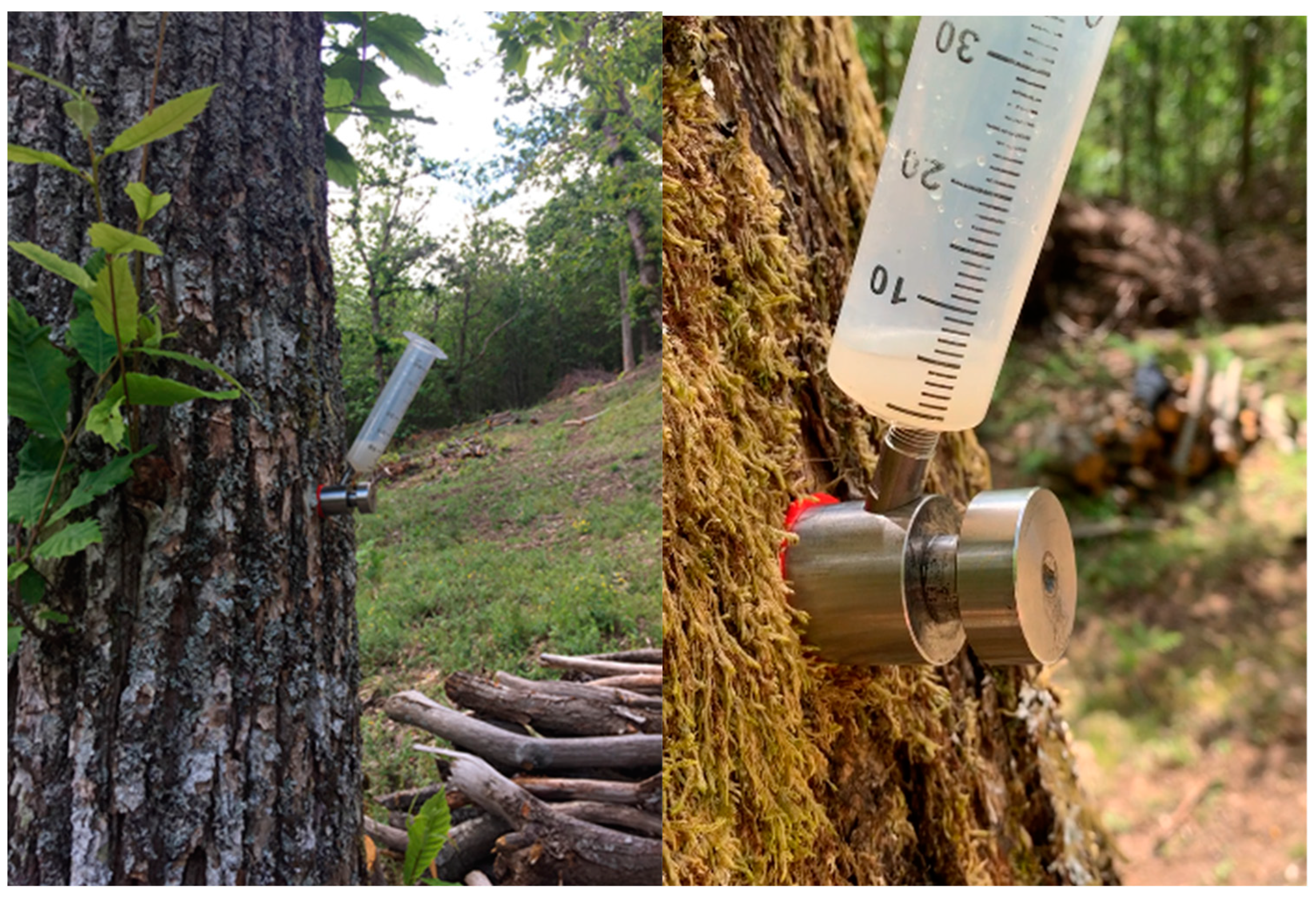 Biology 13 00143 g002