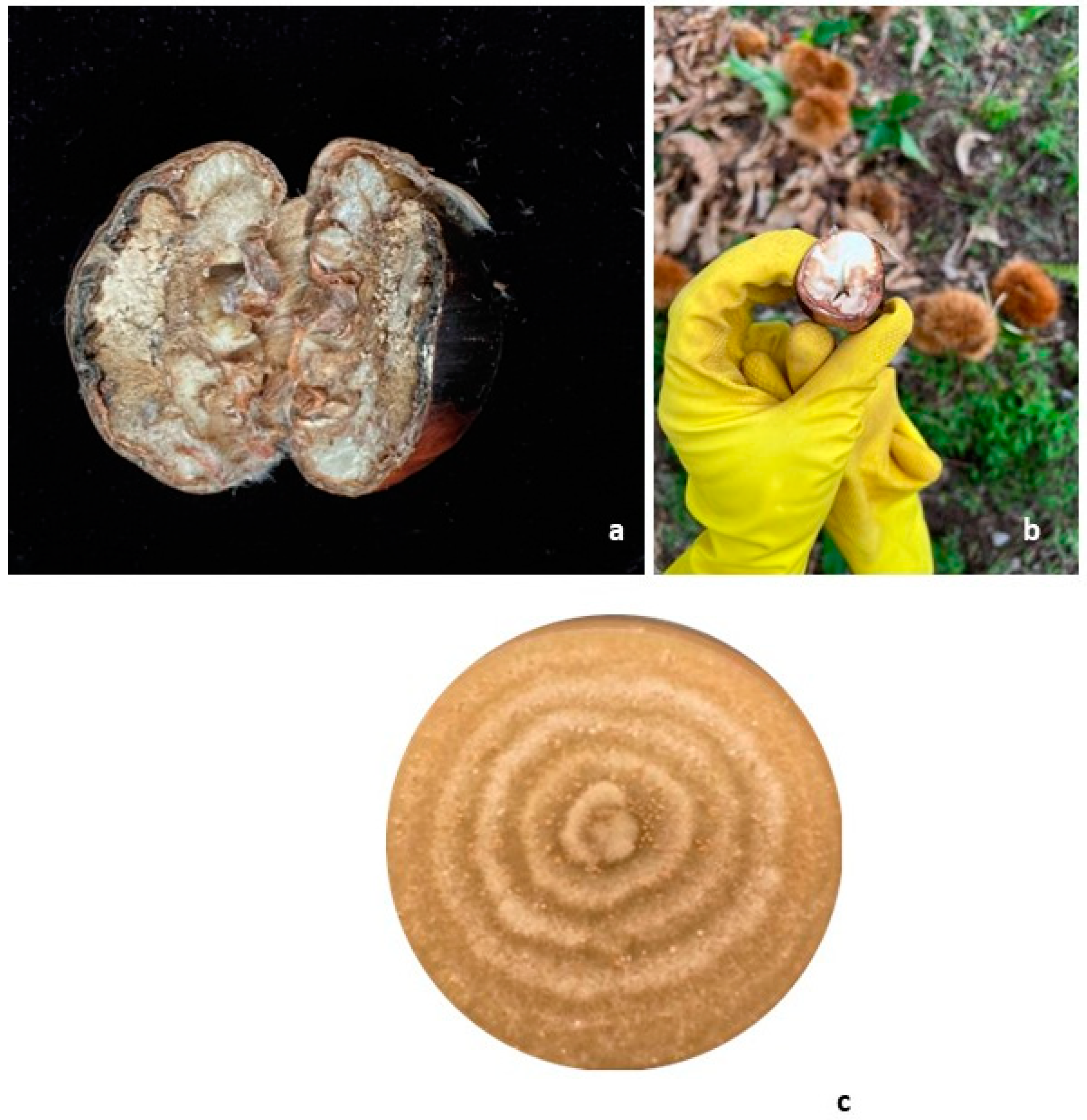 Biology 13 00143 g003