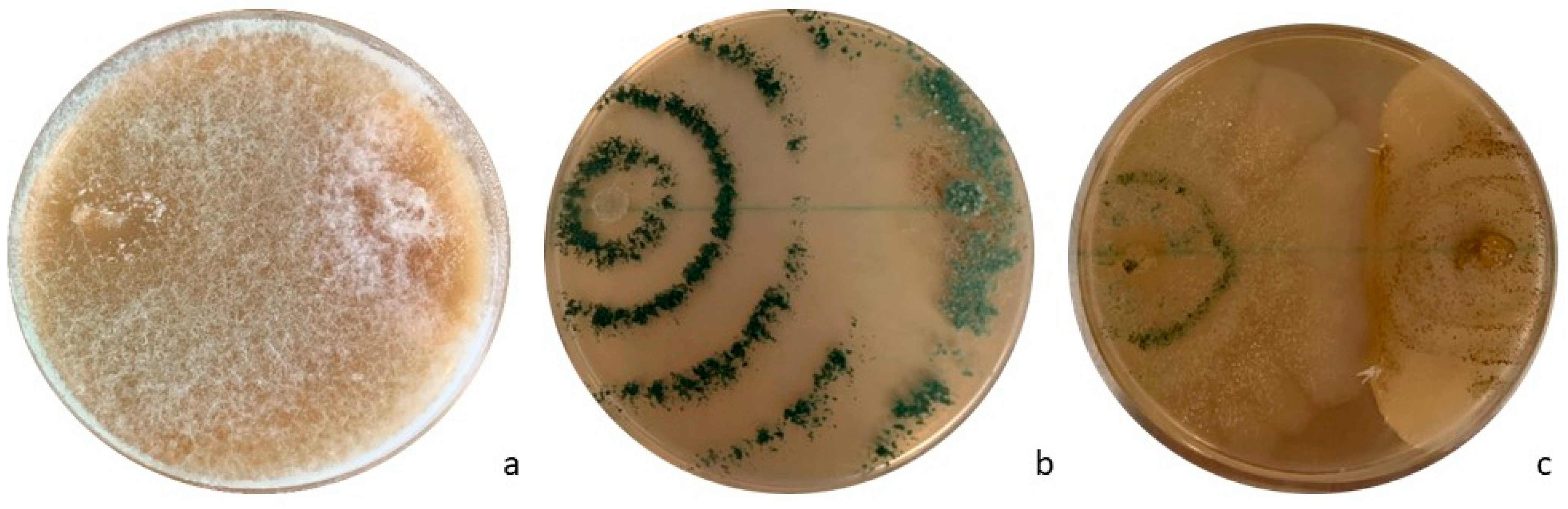 Biology 13 00143 g004