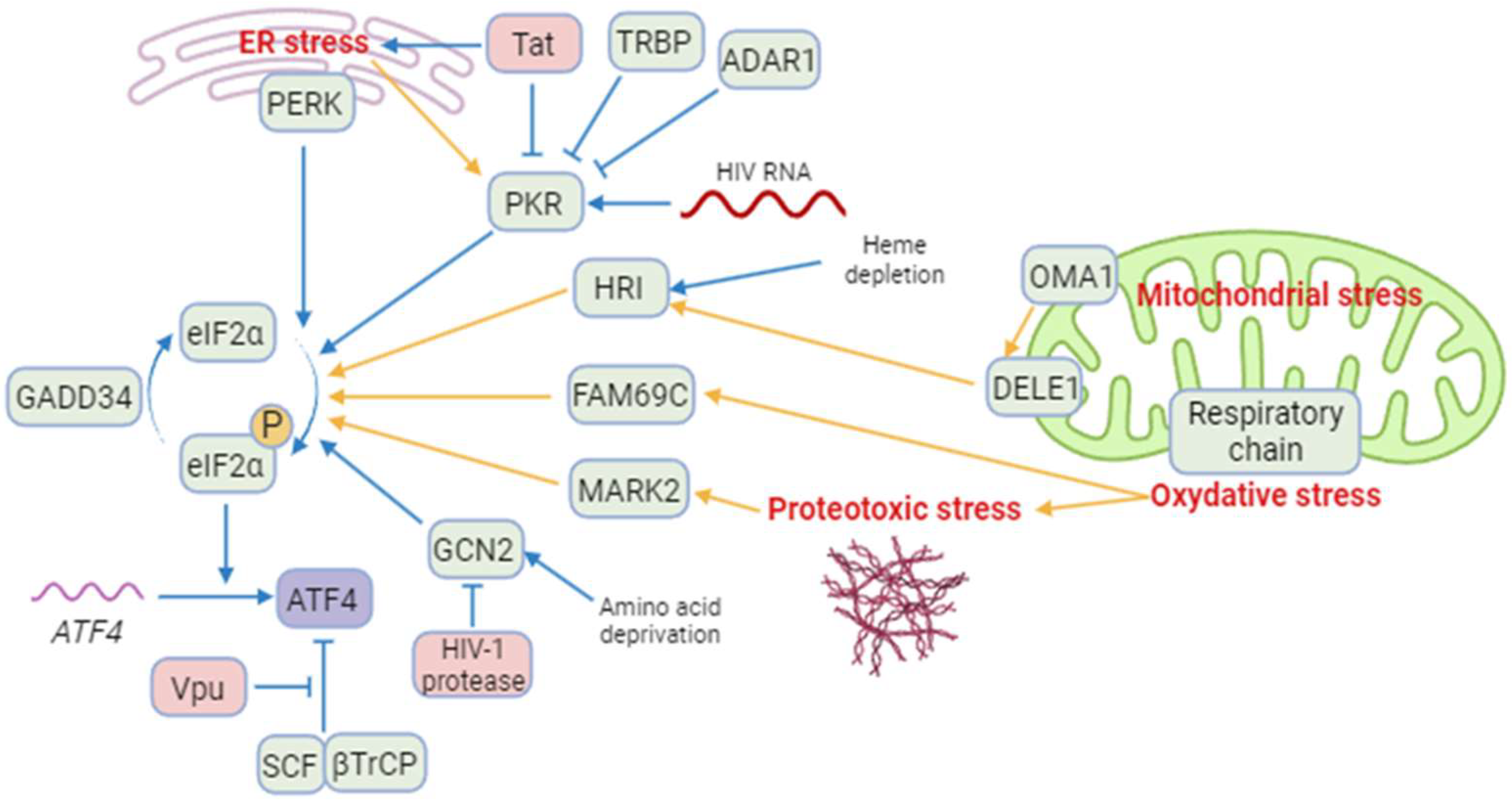 Biology 13 00146 g001 Biology 13 00146 g001