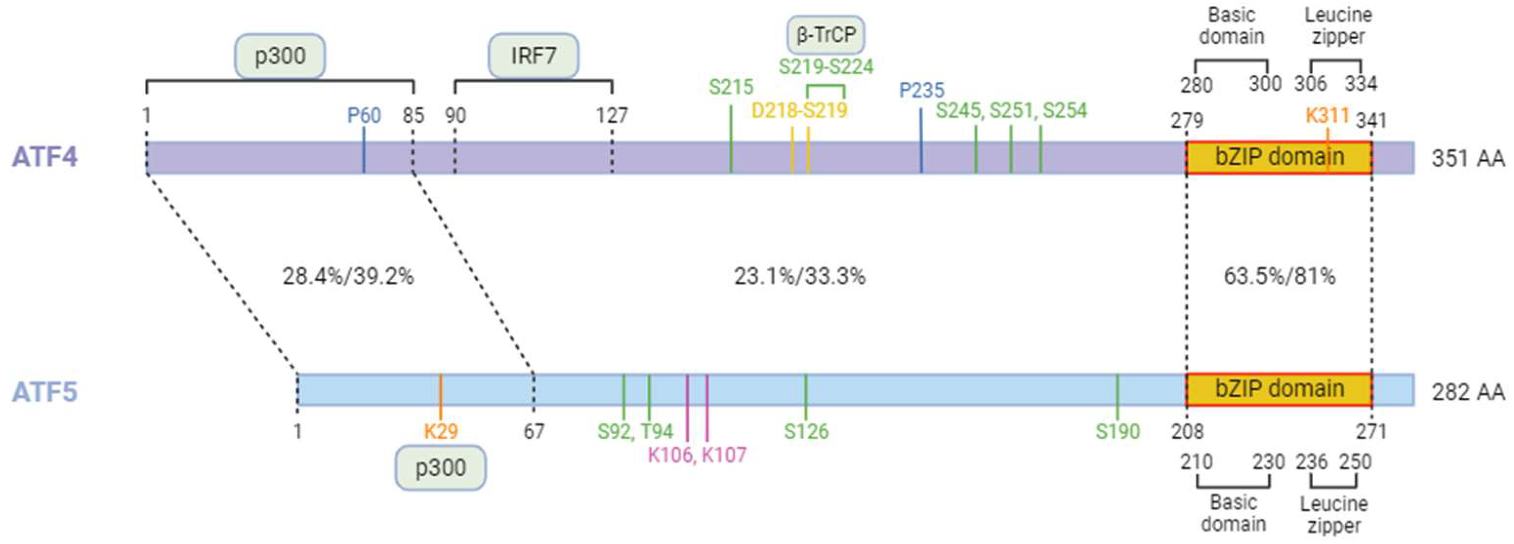 Biology 13 00146 g004 Biology 13 00146 g004