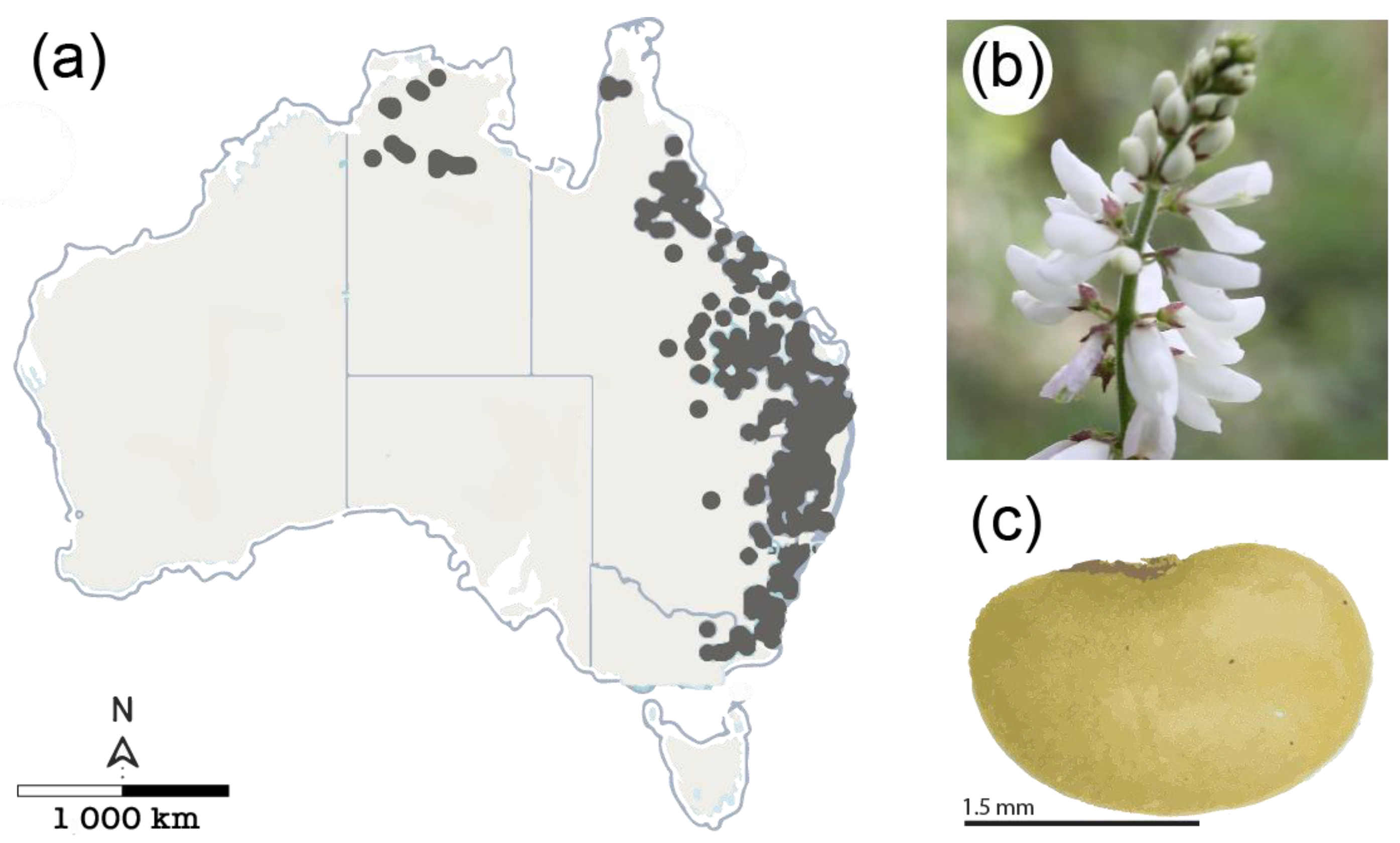 Biology 13 00148 g001