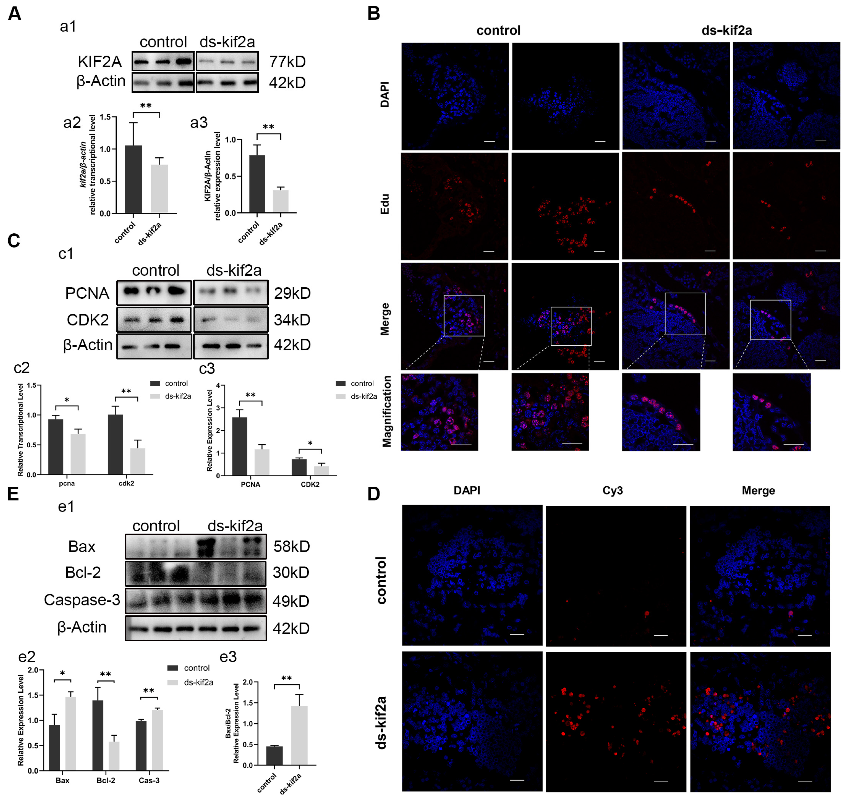 Biology 13 00149 g003