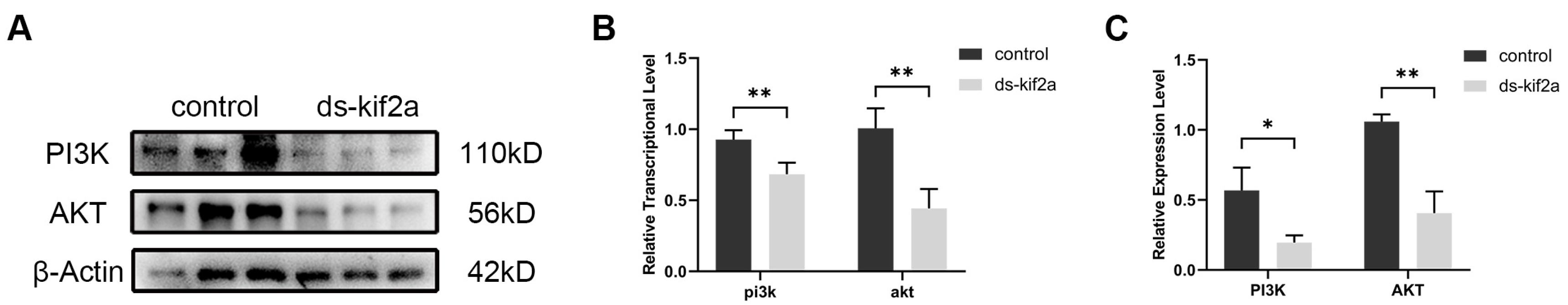 Biology 13 00149 g004