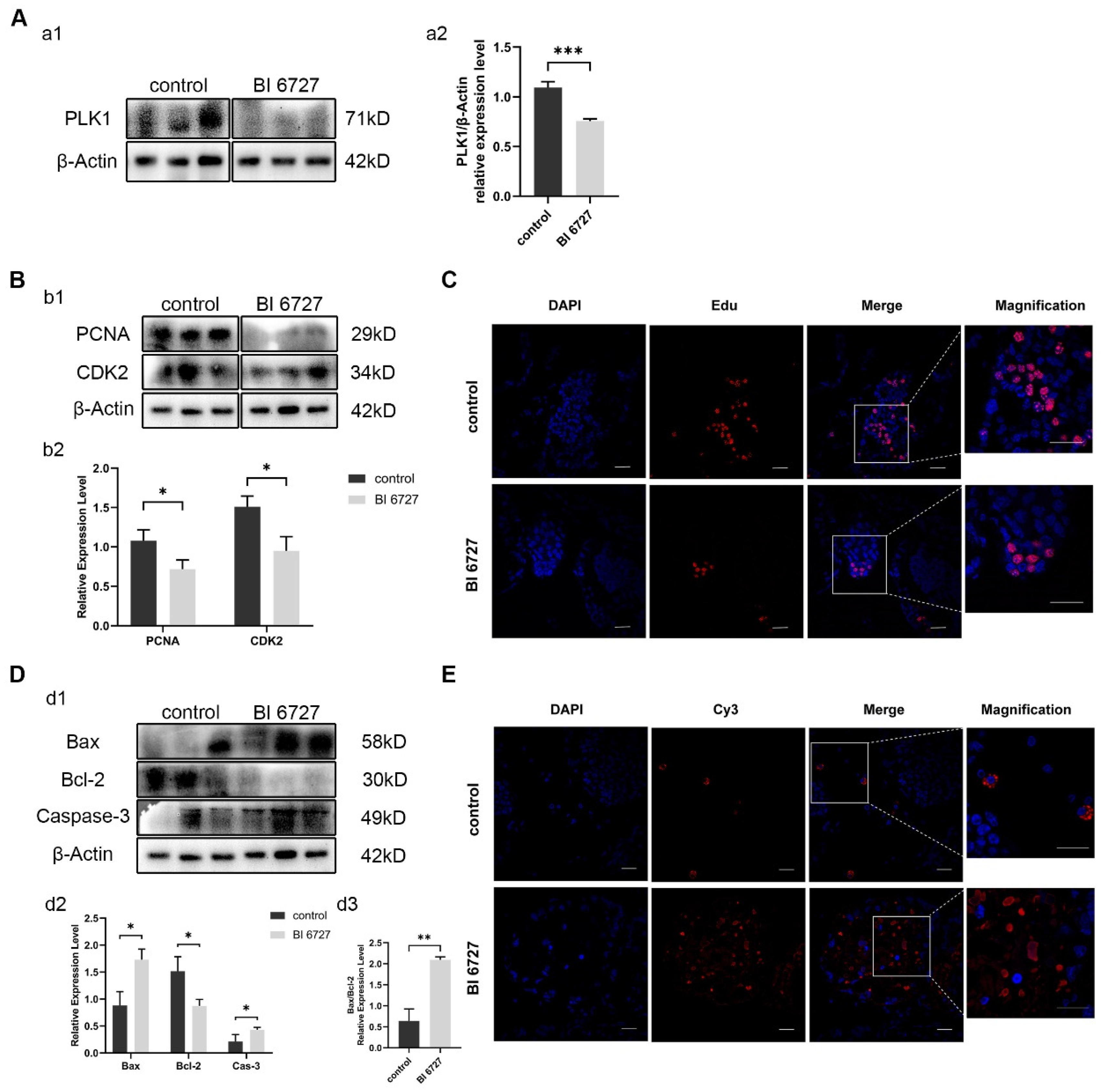 Biology 13 00149 g006