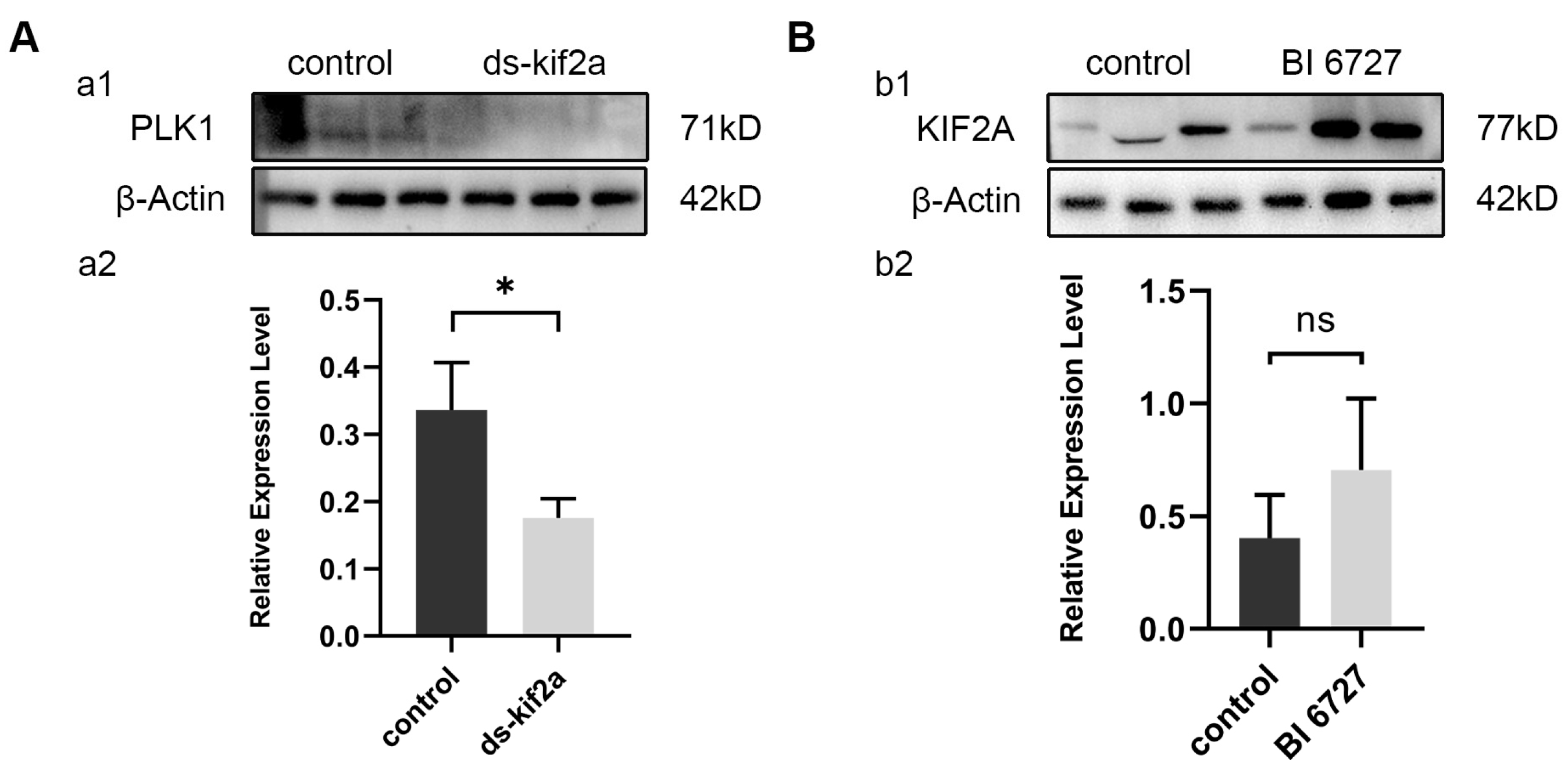 Biology 13 00149 g008