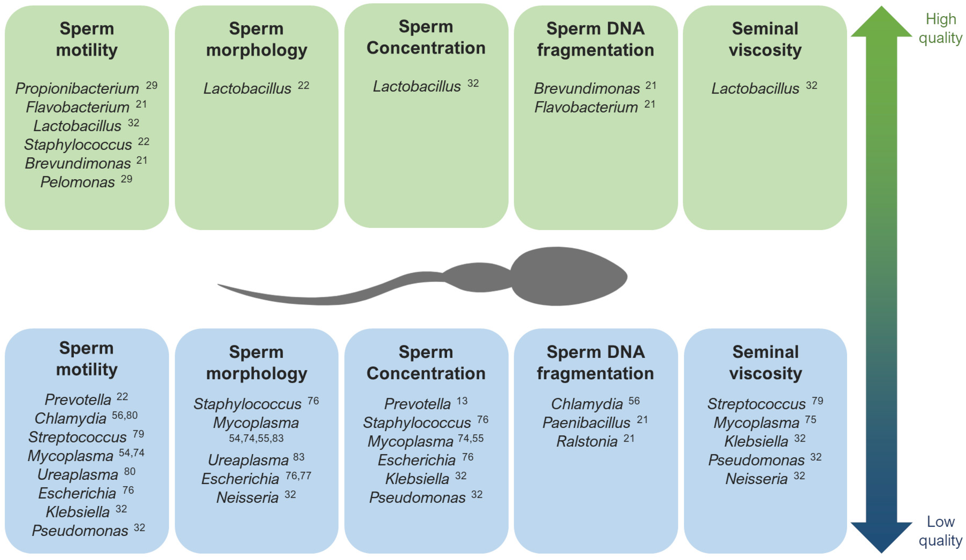 Biology 13 00150 g001