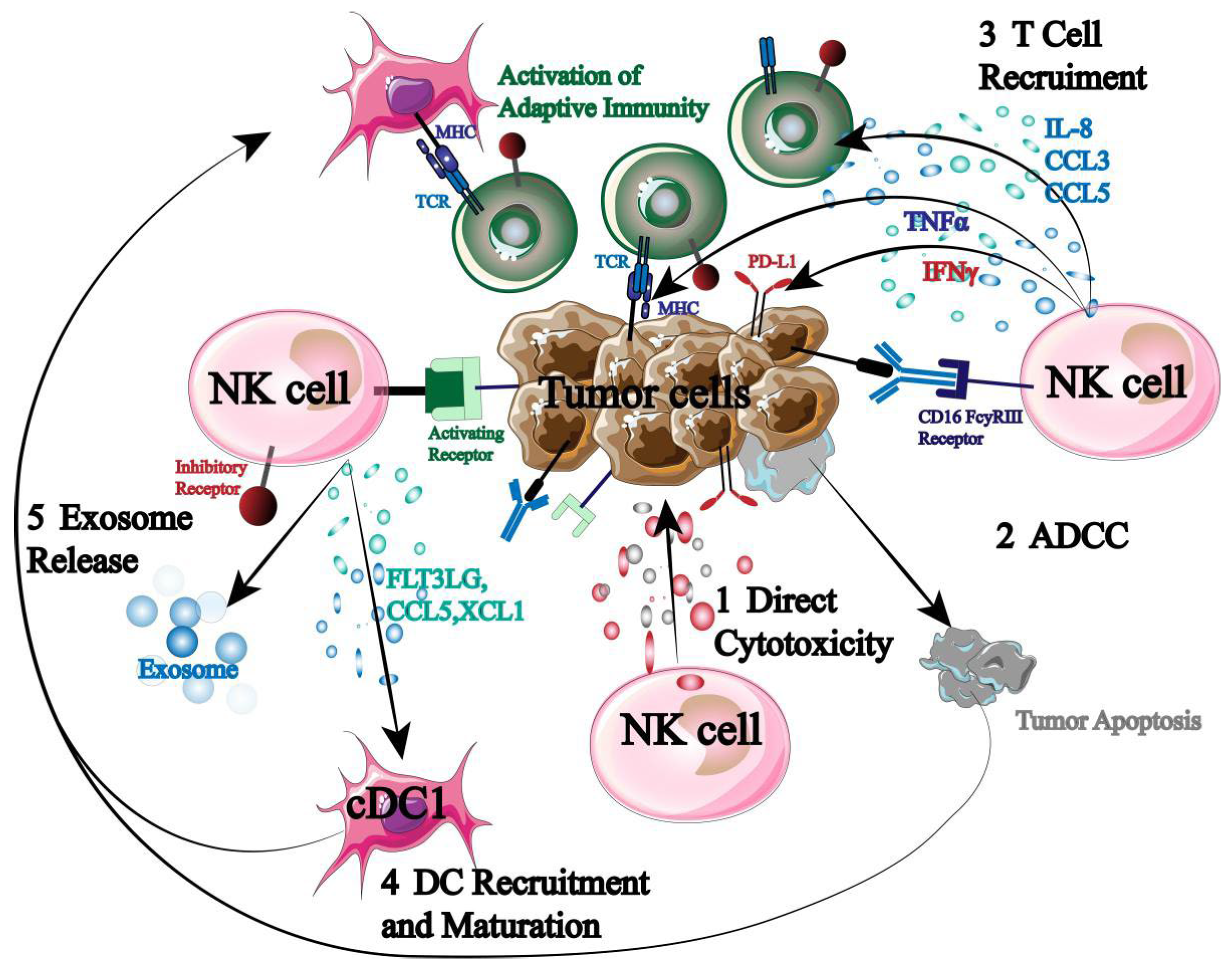 Biology 13 00153 g002