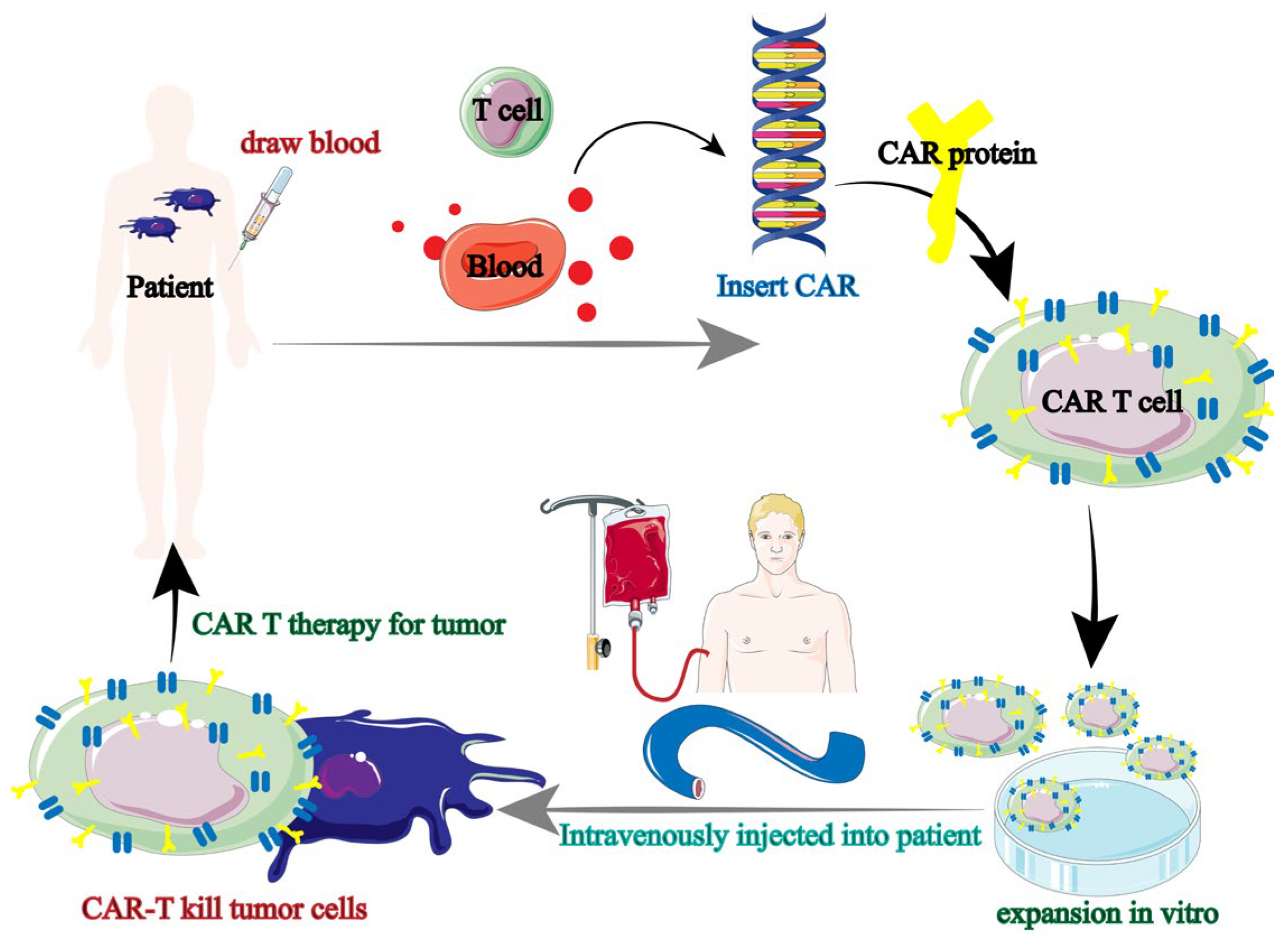 Biology 13 00153 g004