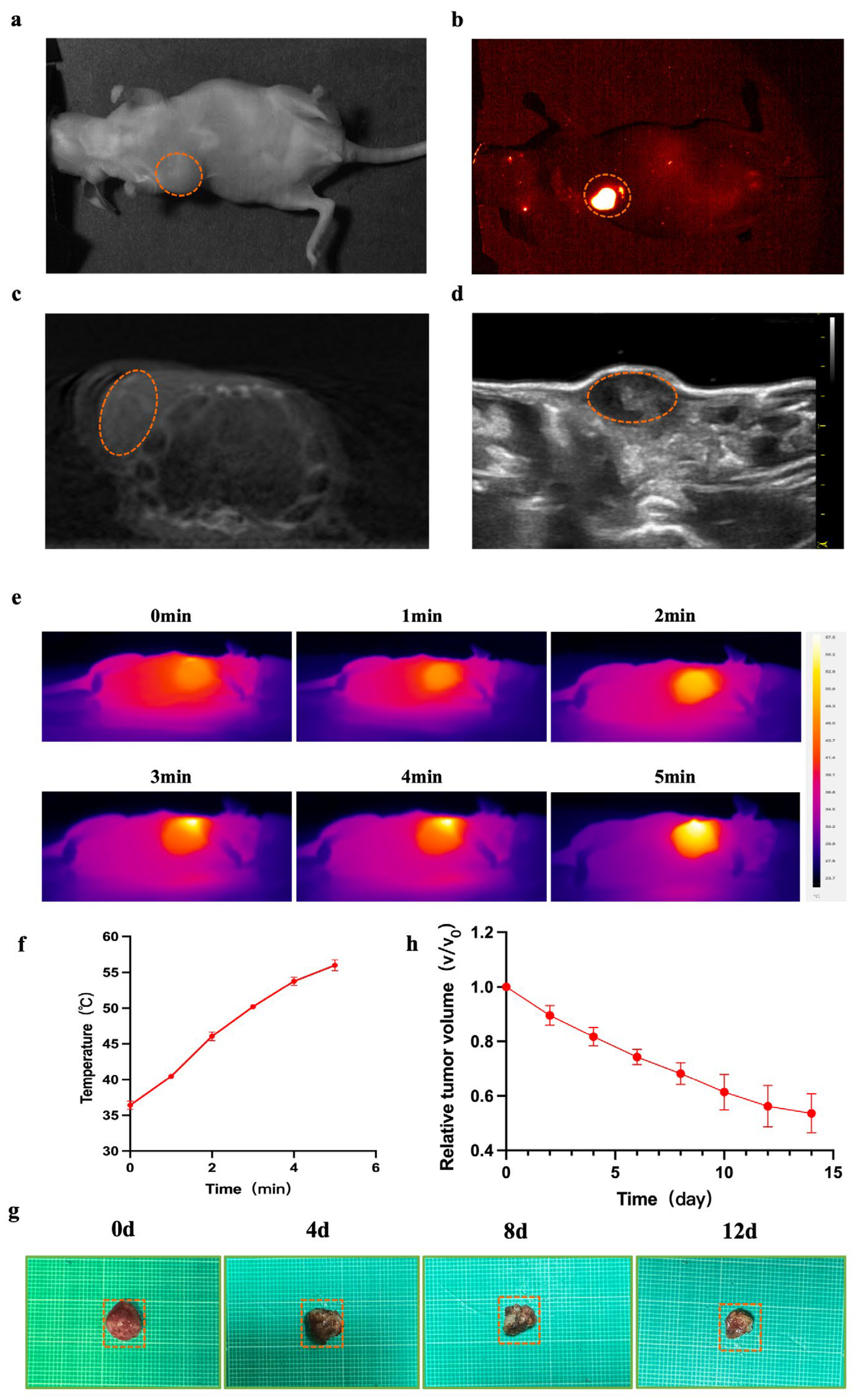 Biology 13 00156 g003