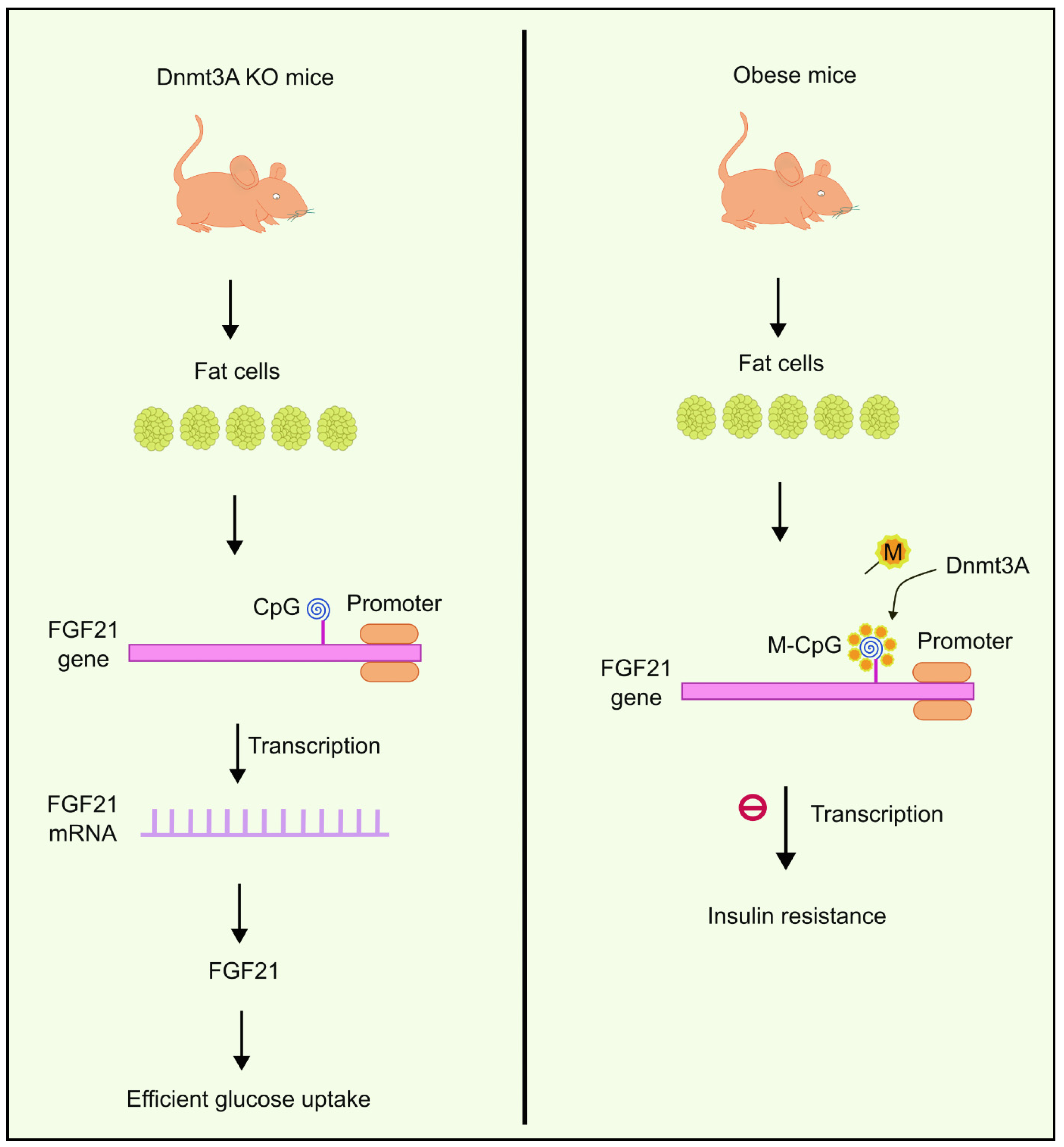 Biology 13 00157 g002