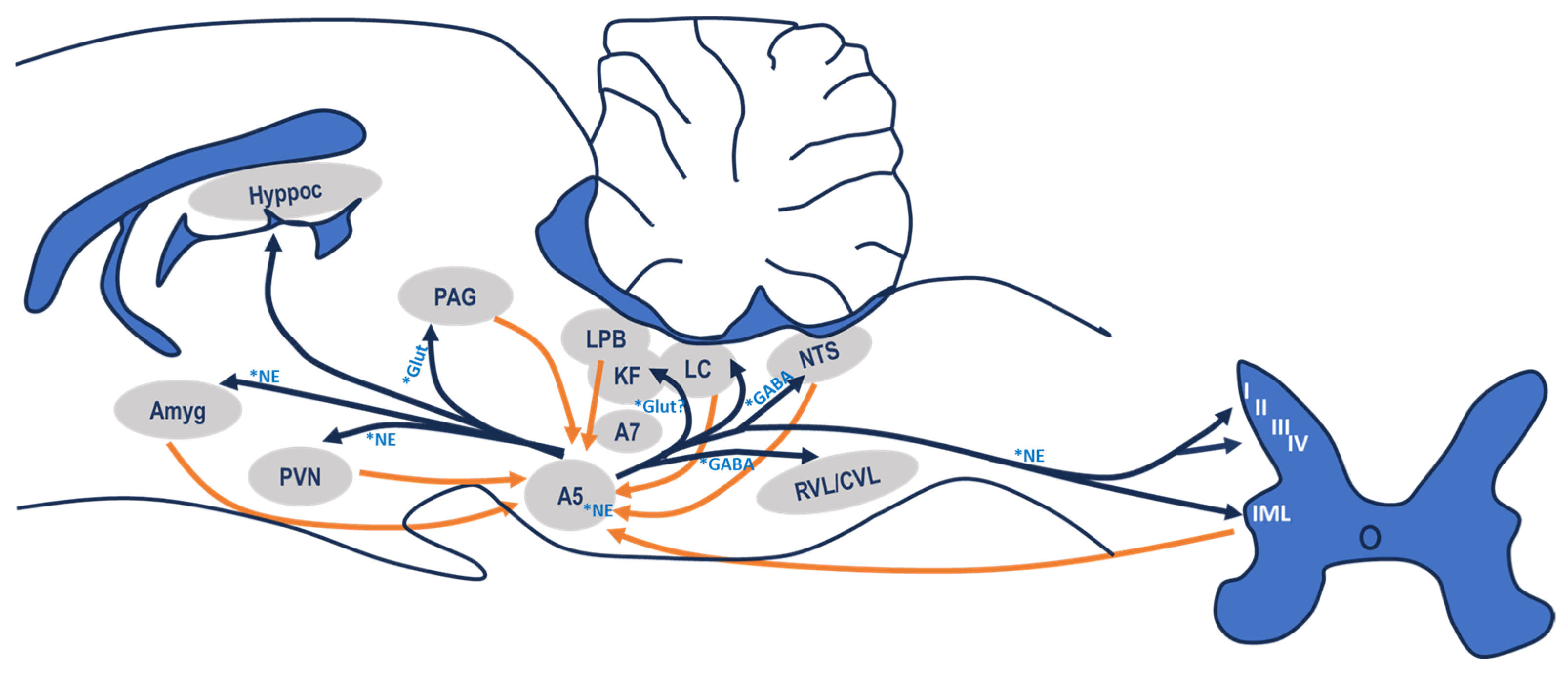 Biology 13 00161 g002