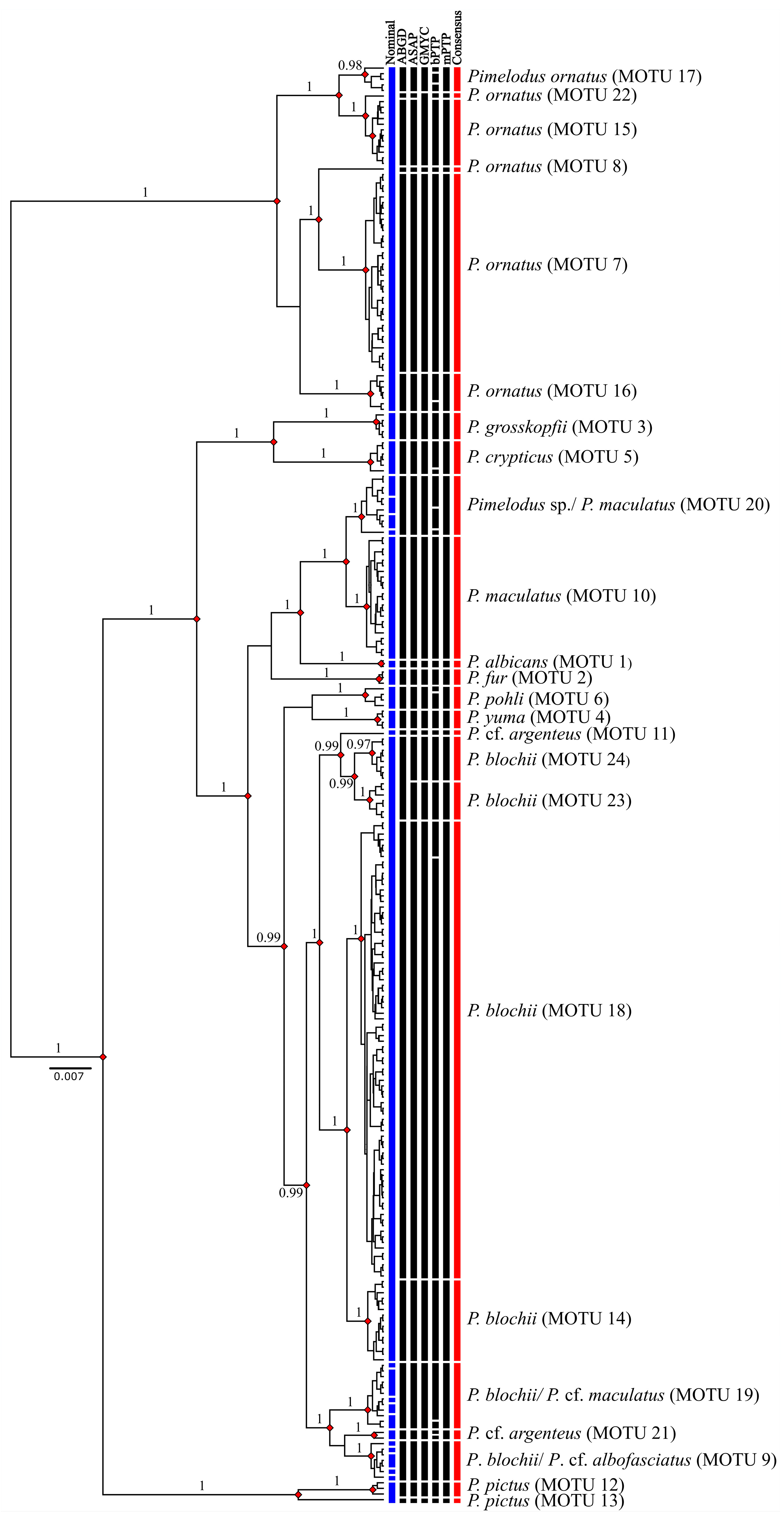 Biology 13 00162 g005 Biology 13 00162 g005