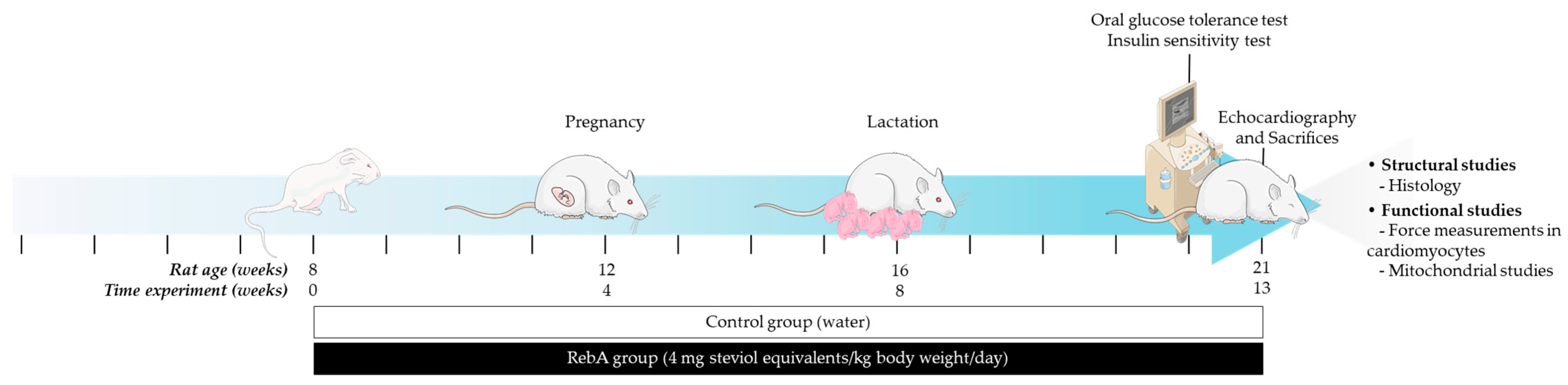 Biology 13 00163 g001