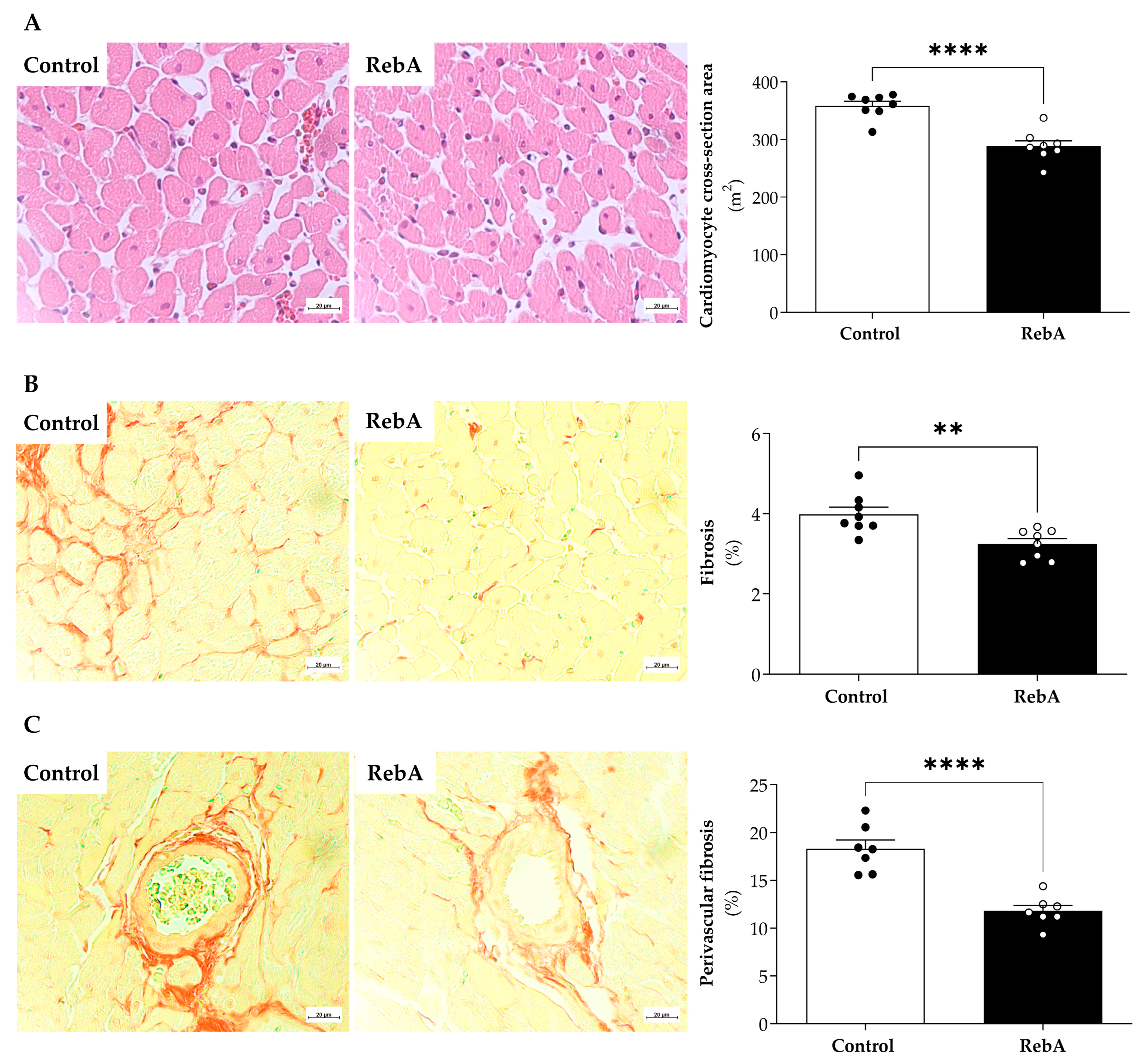 Biology 13 00163 g005