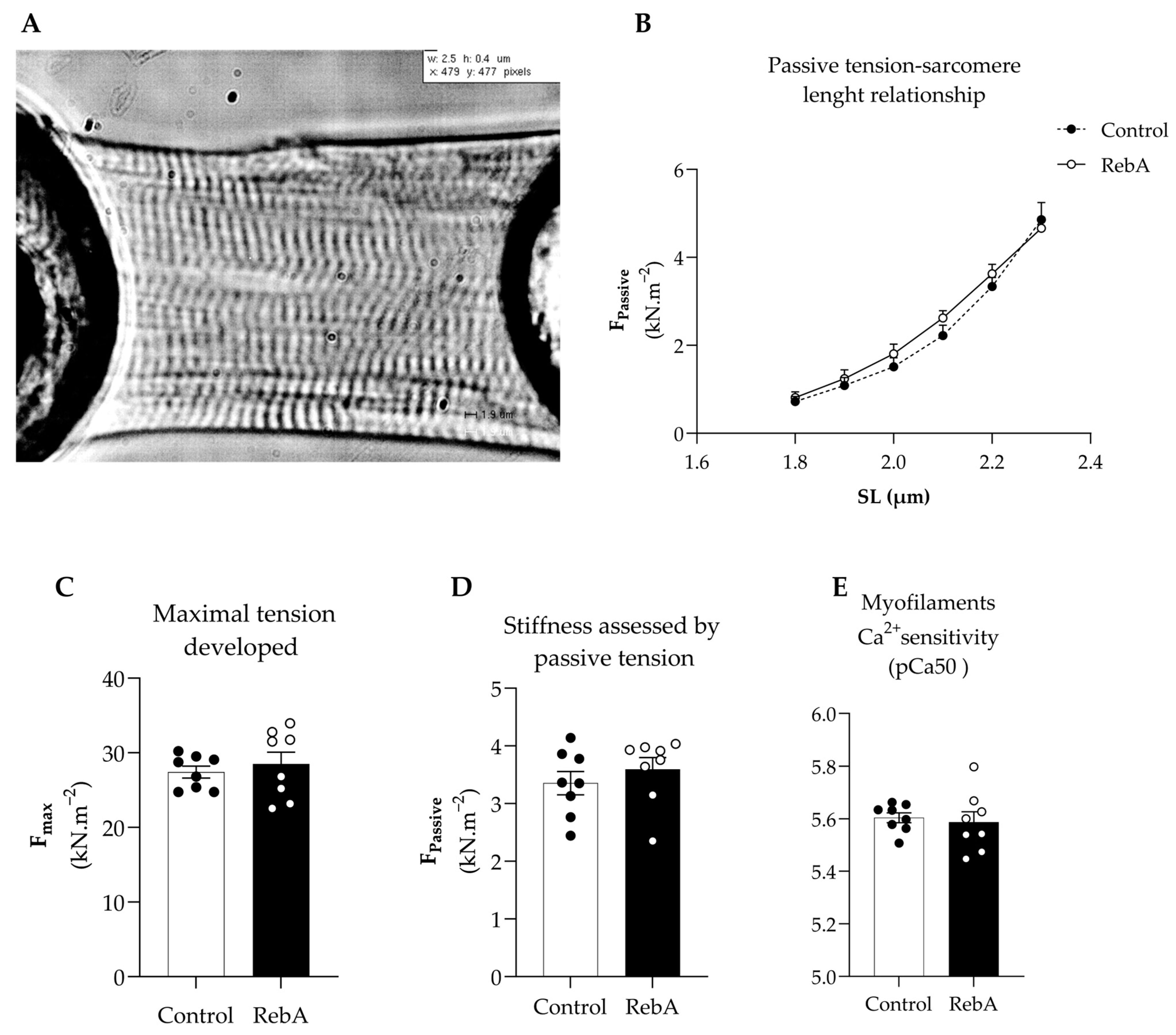 Biology 13 00163 g007