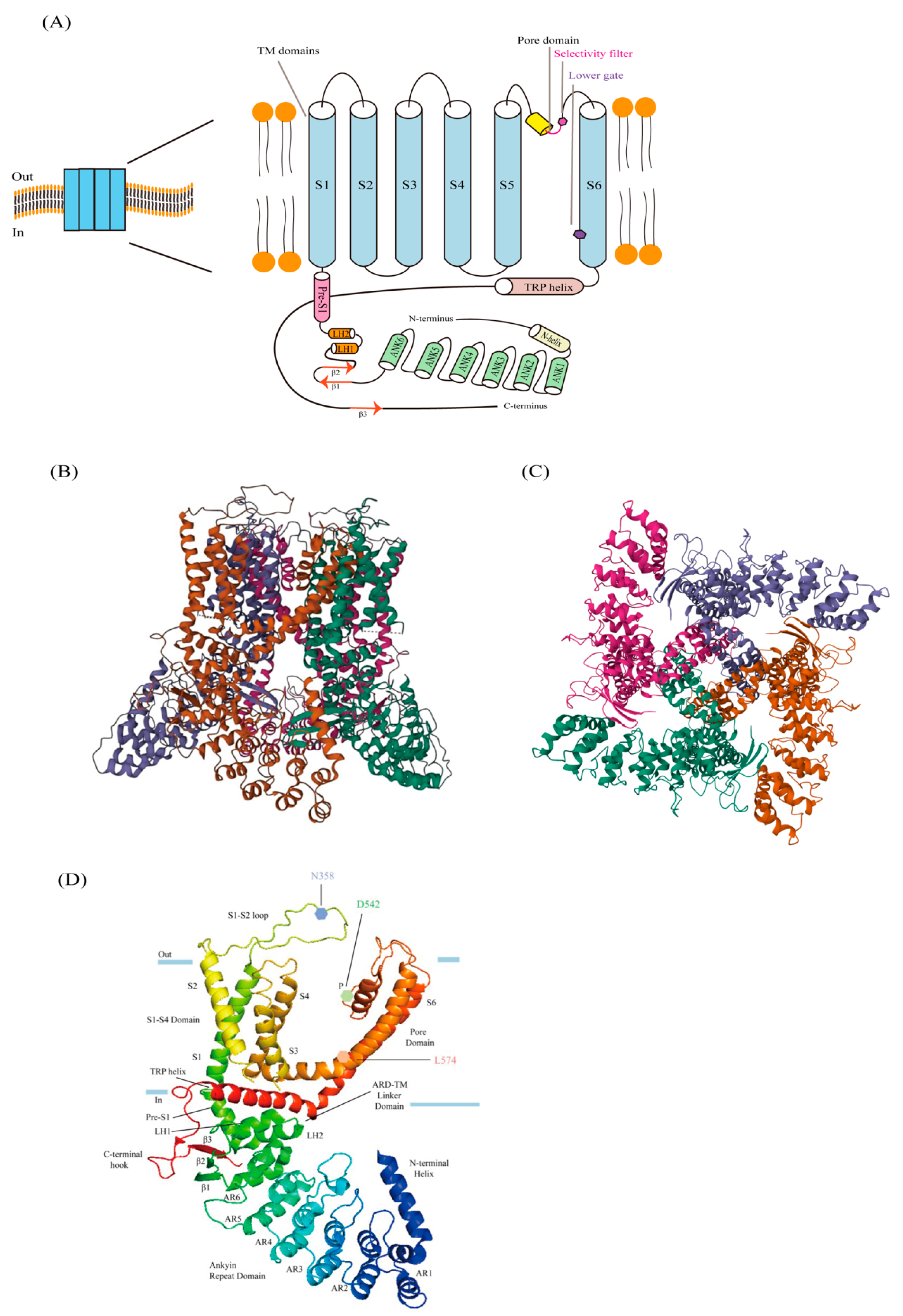 Biology 13 00168 g001 Biology 13 00168 g001