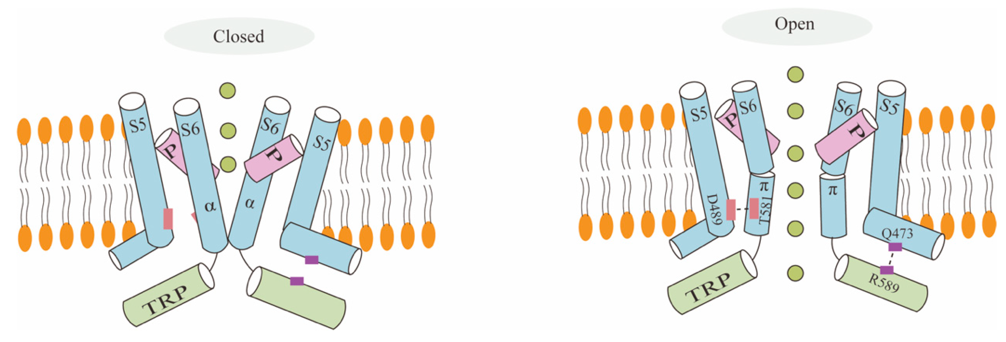 Biology 13 00168 g002 Biology 13 00168 g002