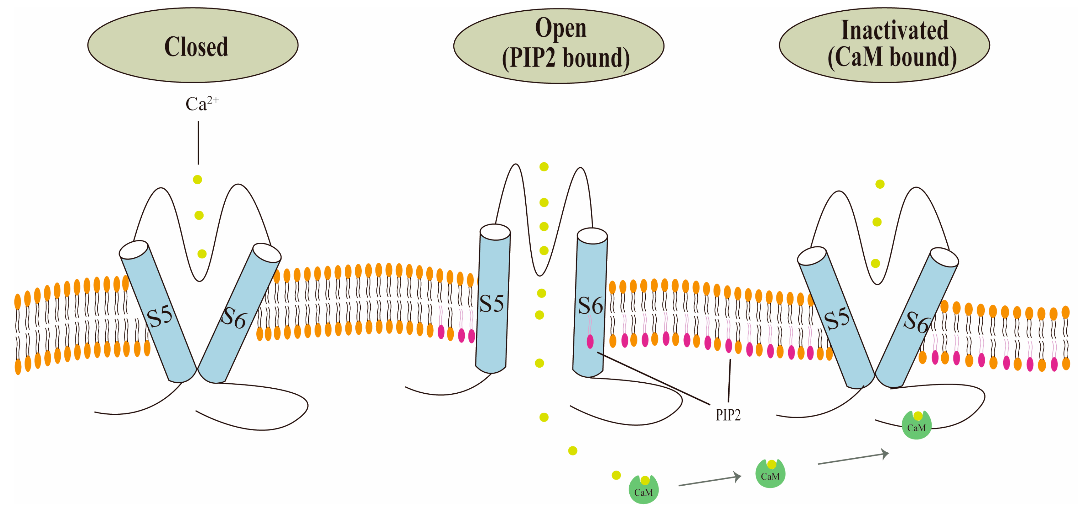 Biology 13 00168 g003 Biology 13 00168 g003