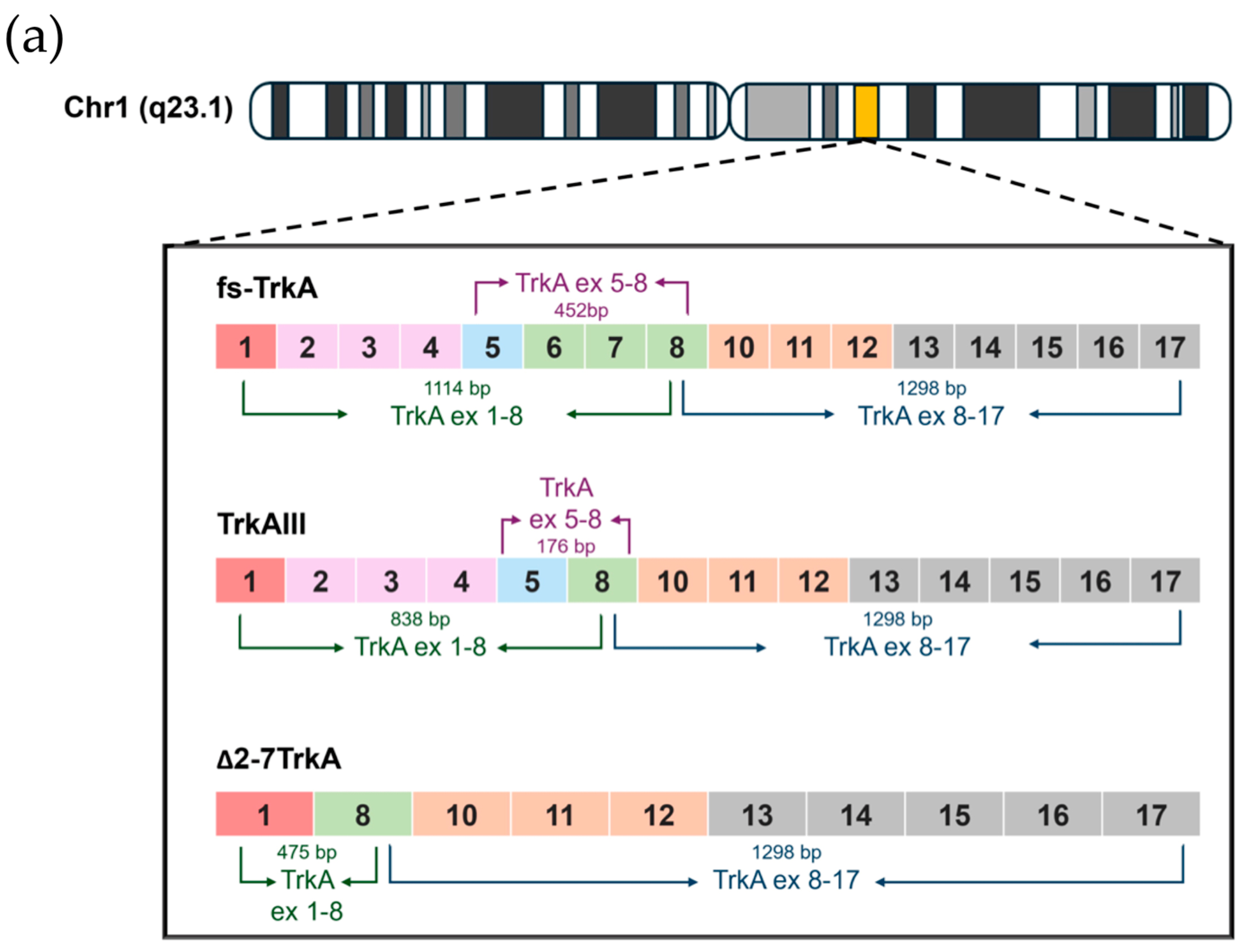 Biology 13 00171 g001a Biology 13 00171 g001a