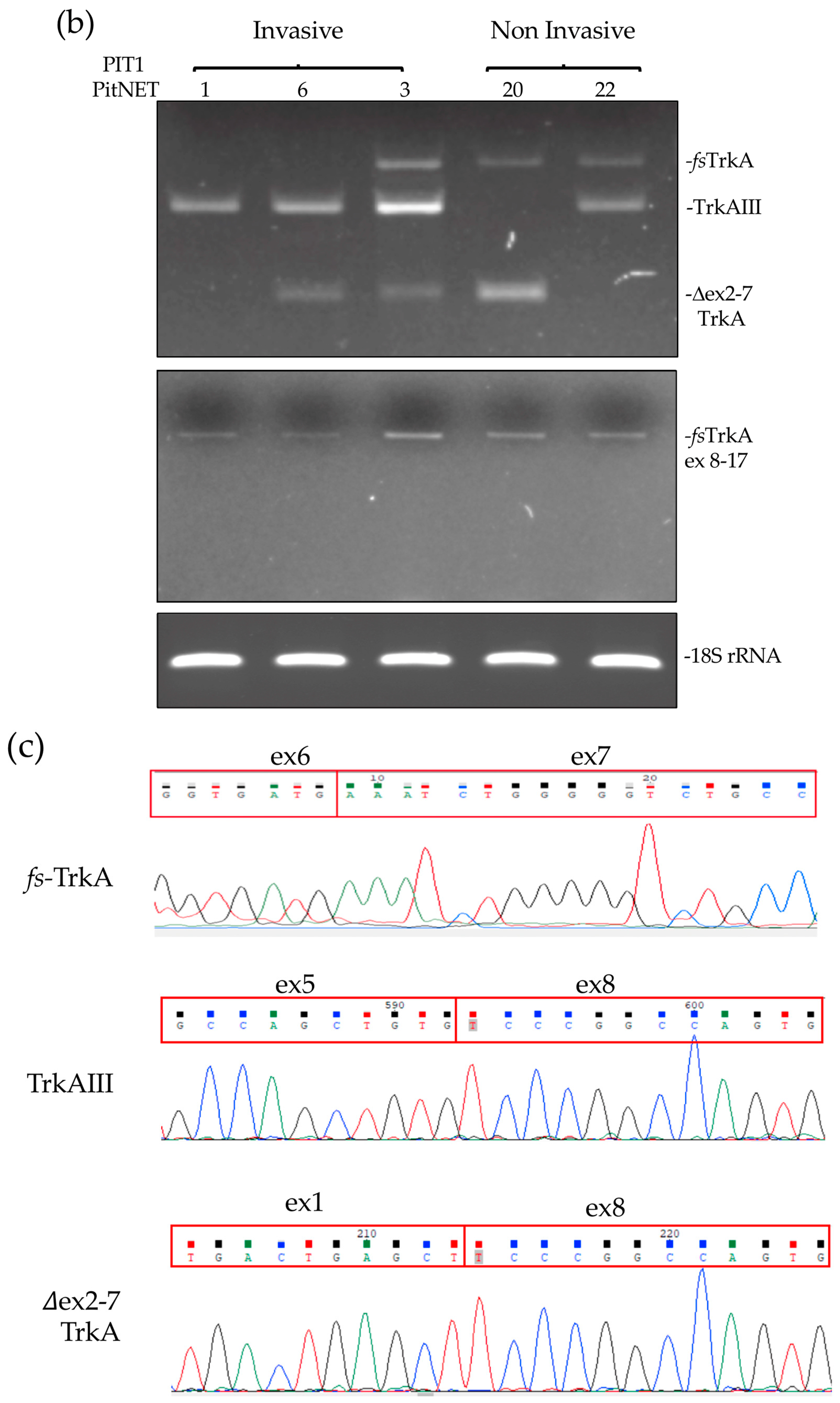 Biology 13 00171 g001b Biology 13 00171 g001b