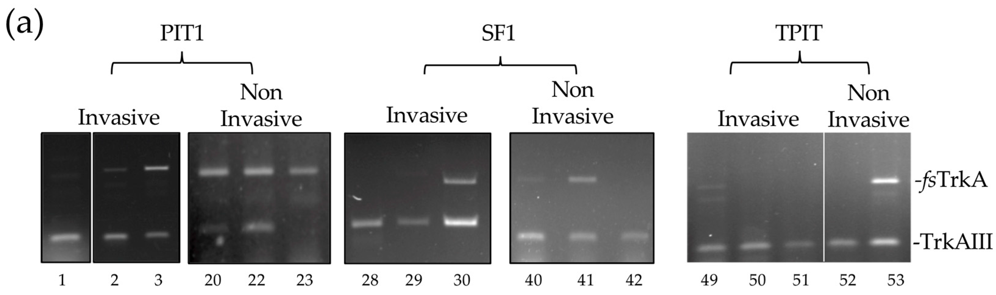 Biology 13 00171 g002a Biology 13 00171 g002a