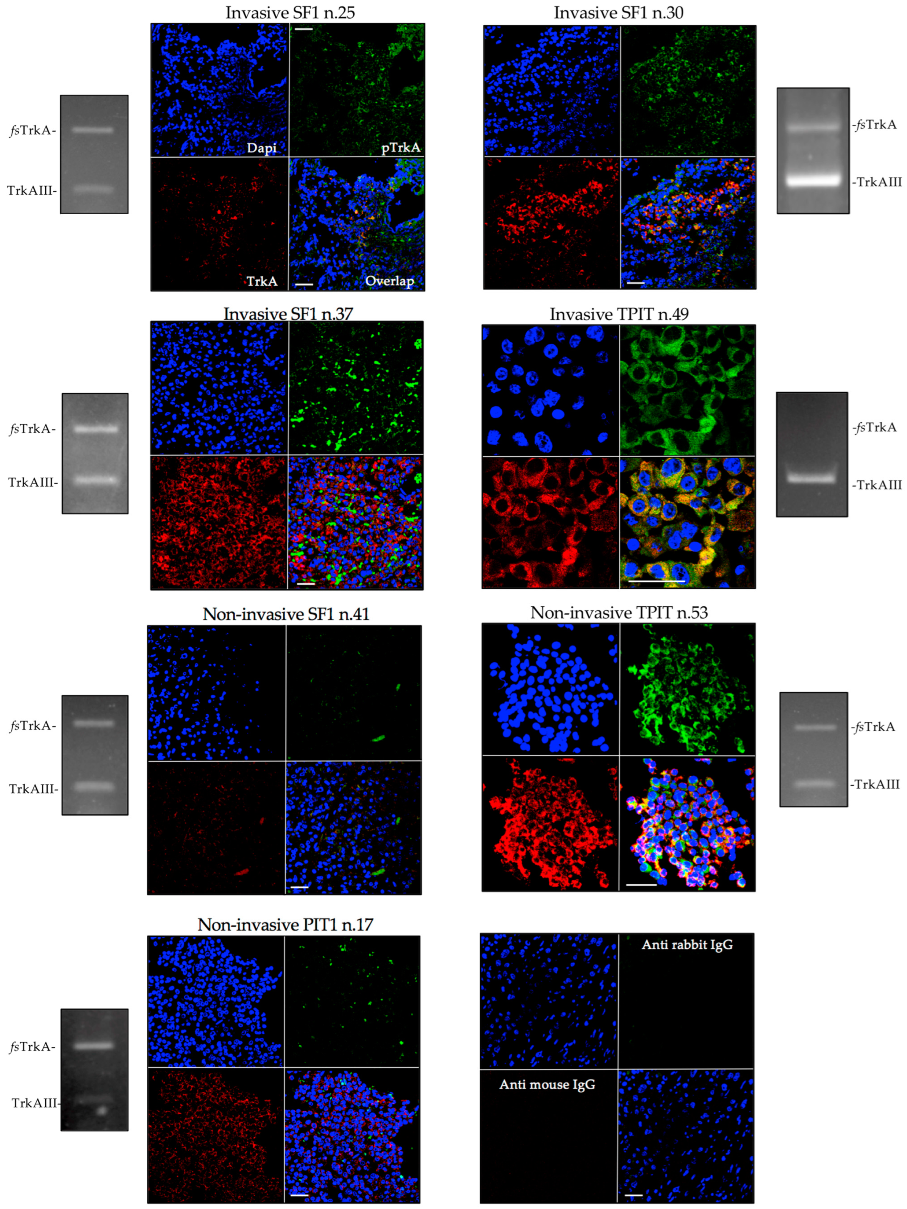 Biology 13 00171 g003 Biology 13 00171 g003