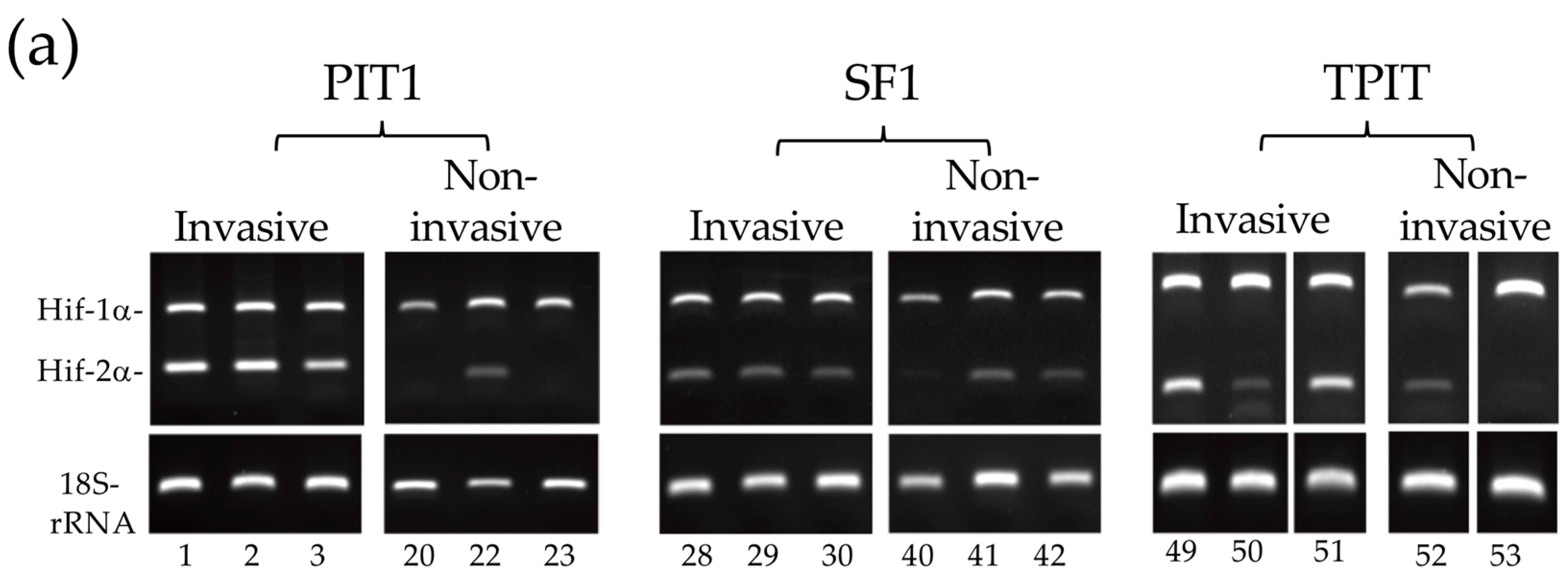 Biology 13 00171 g004a Biology 13 00171 g004a