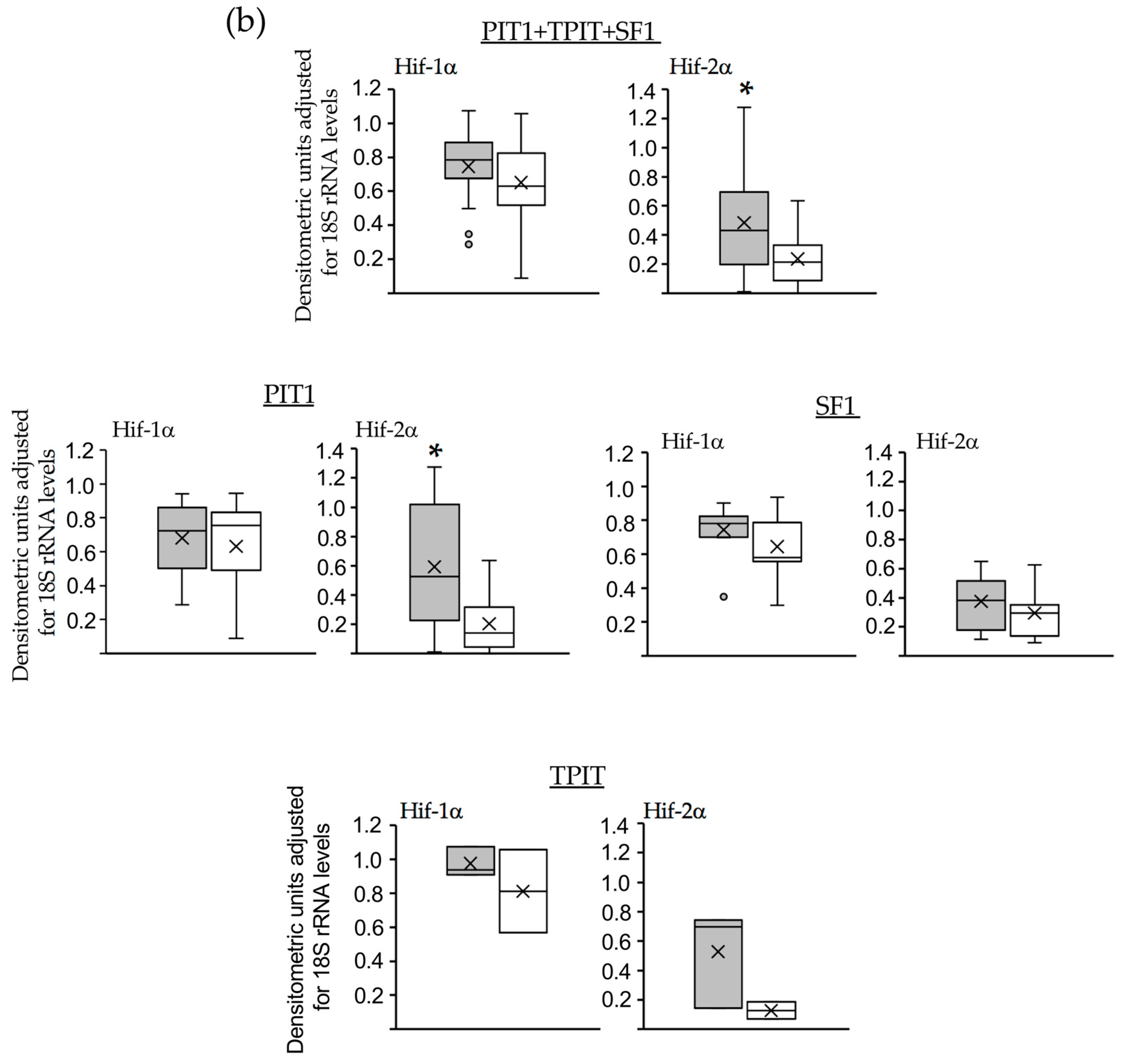Biology 13 00171 g004b Biology 13 00171 g004b