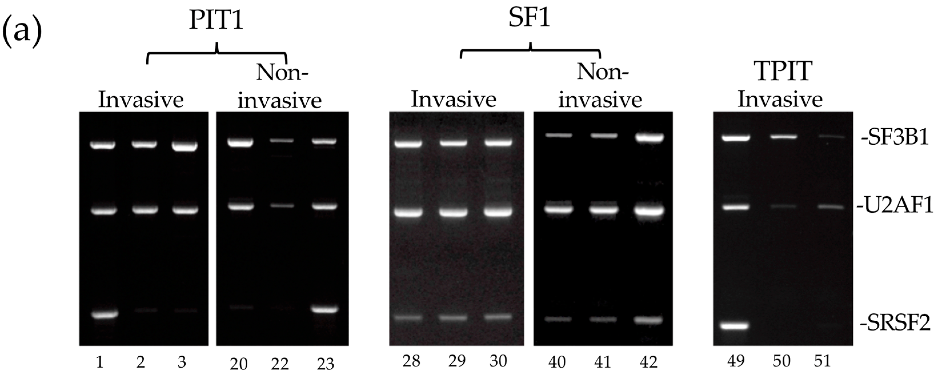 Biology 13 00171 g006a Biology 13 00171 g006a