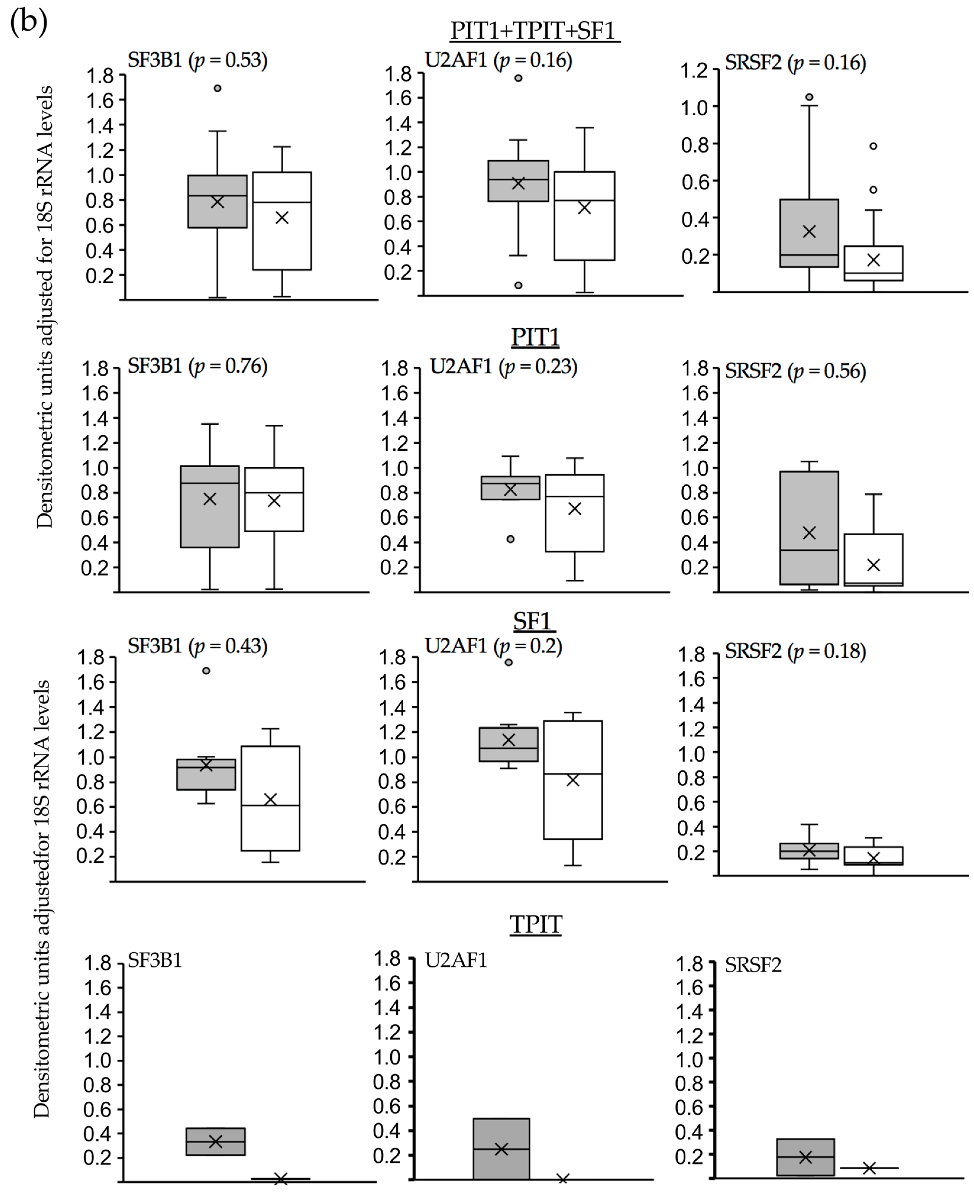 Biology 13 00171 g006b Biology 13 00171 g006b