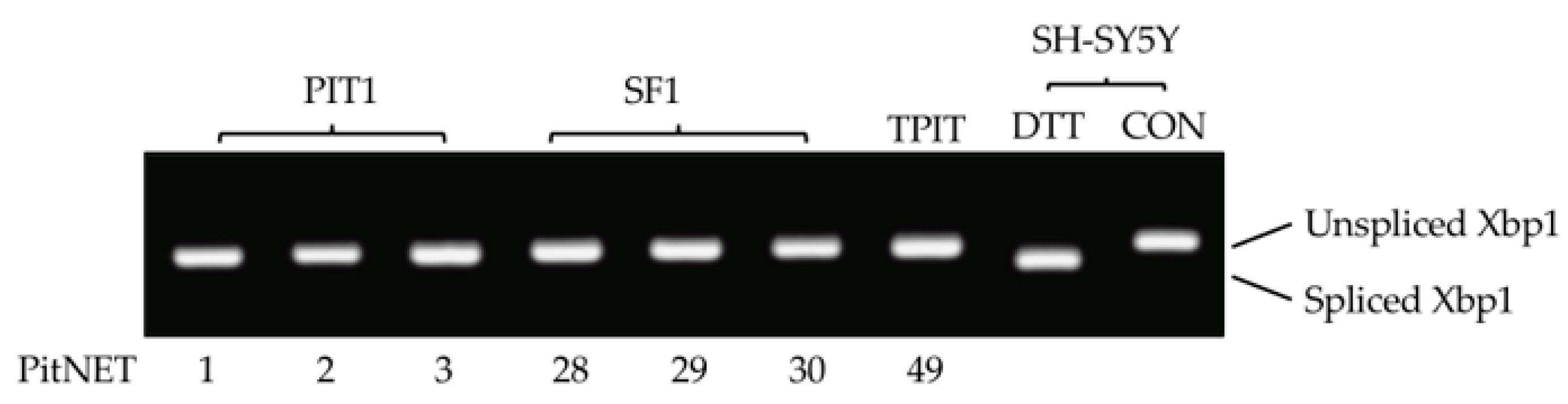 Biology 13 00171 g007 Biology 13 00171 g007