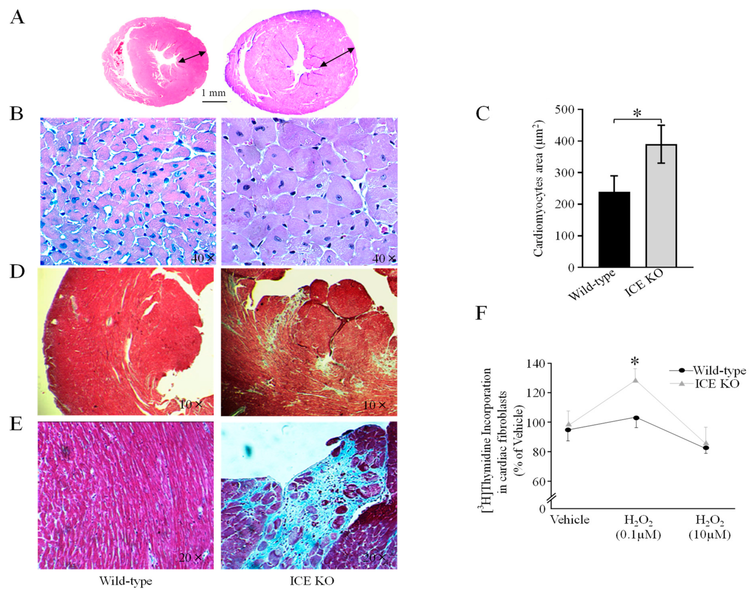 Biology 13 00172 g002 Biology 13 00172 g002