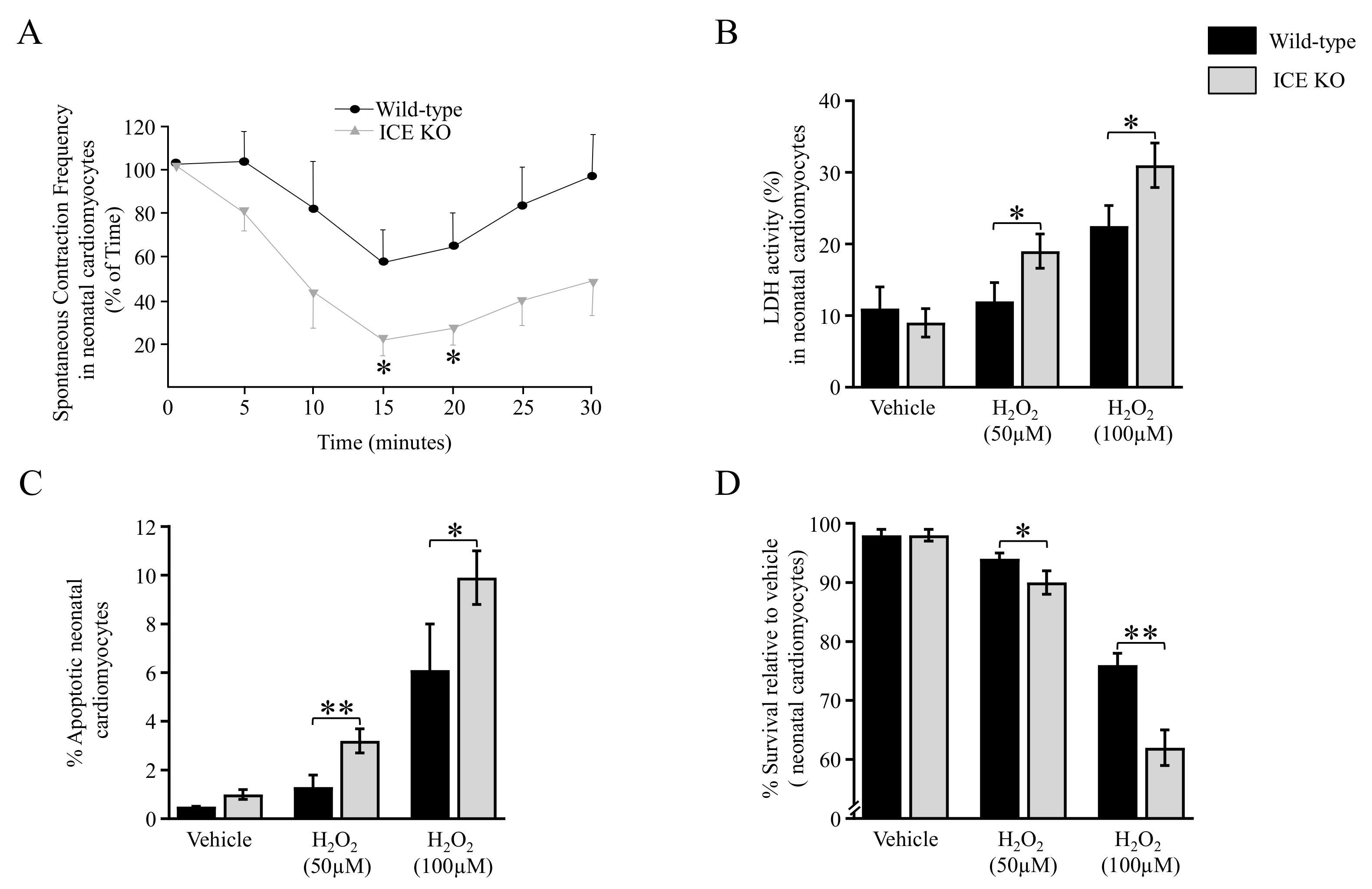 Biology 13 00172 g005 Biology 13 00172 g005