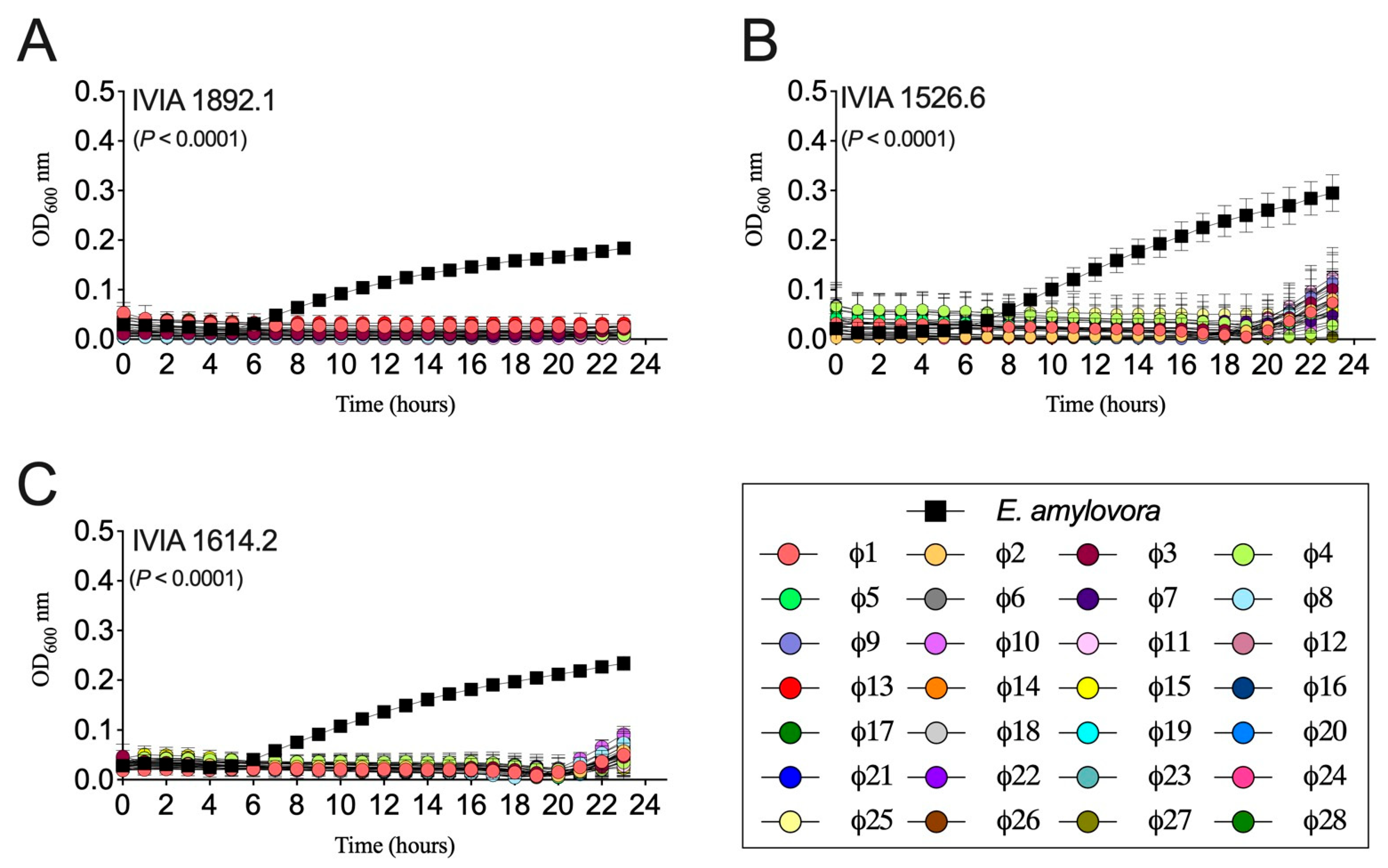 Biology 13 00176 g001