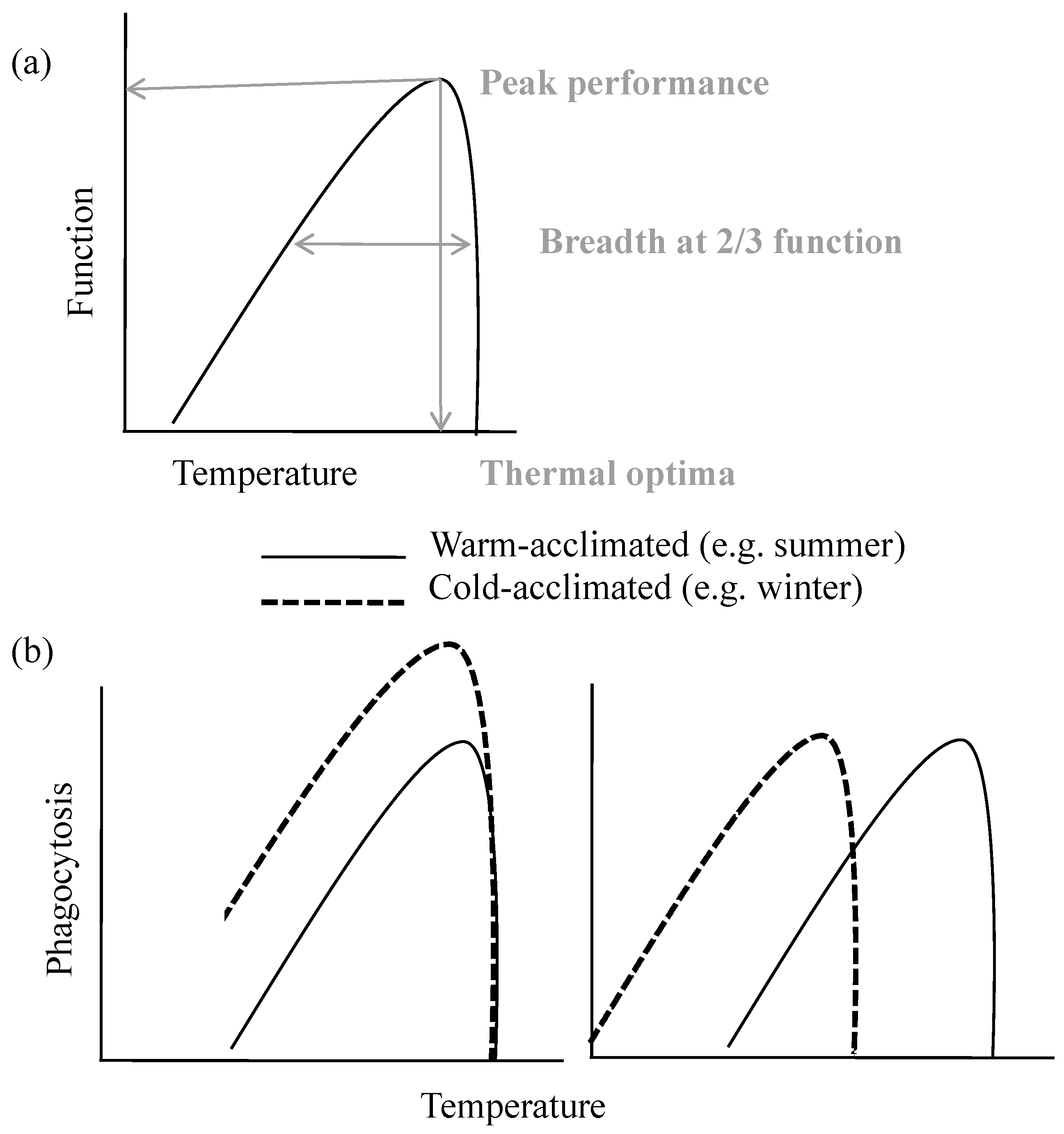 Biology 13 00179 g001
