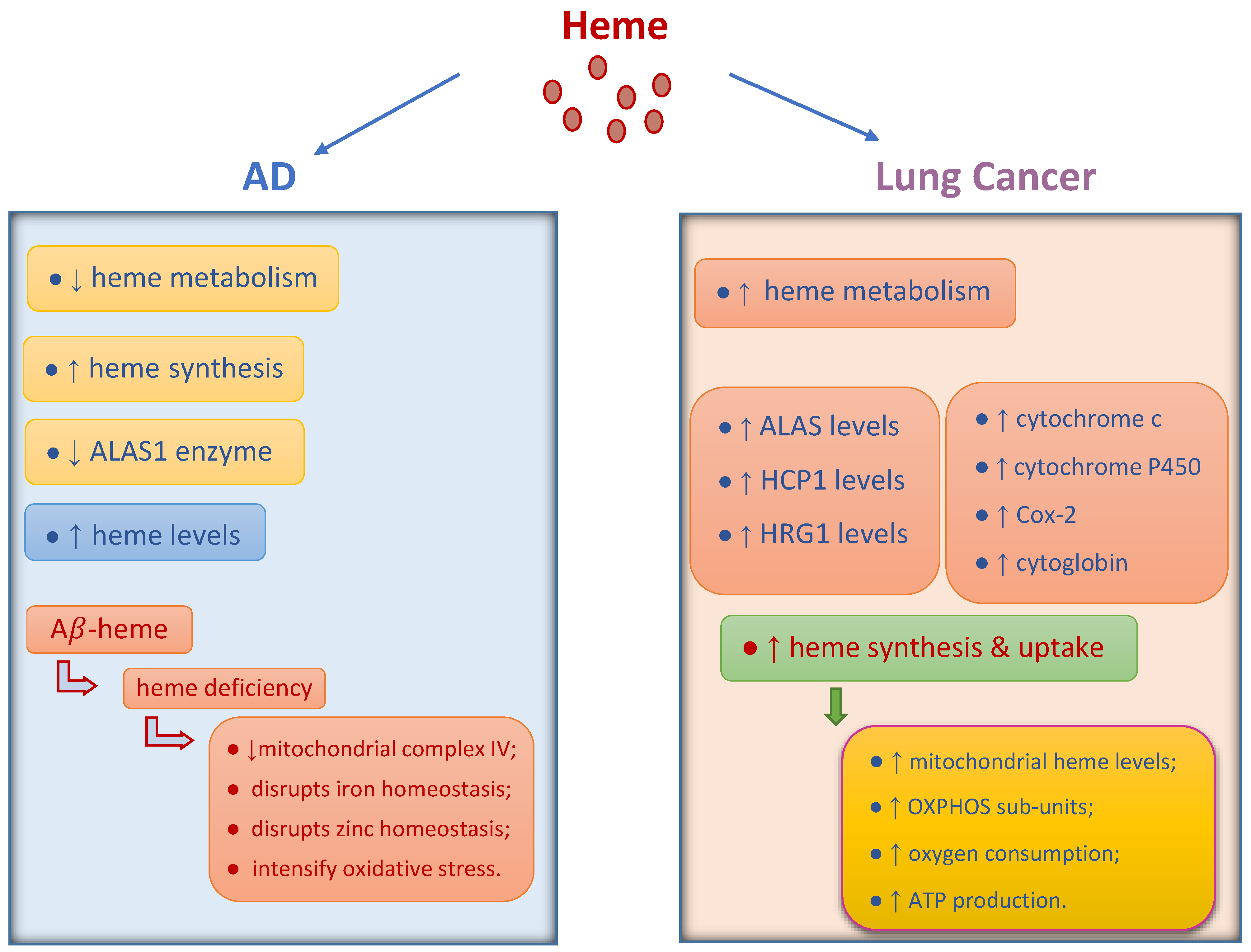 Biology 13 00185 g001 Biology 13 00185 g001