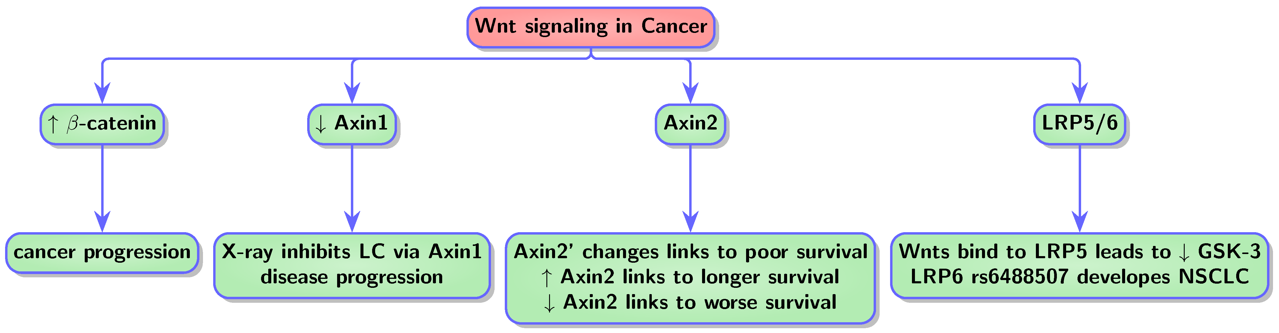 Biology 13 00185 g002 Biology 13 00185 g002