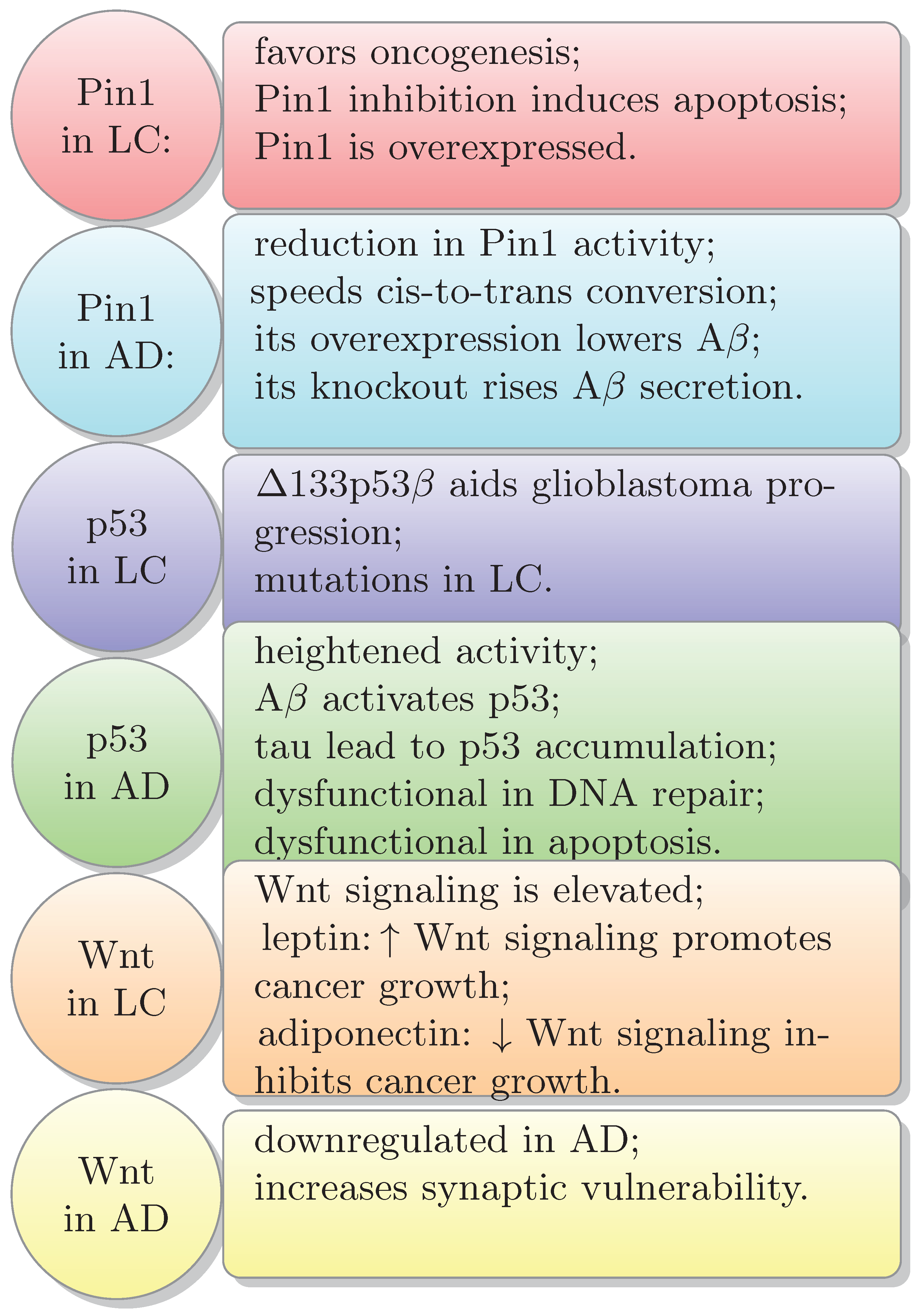Biology 13 00185 g004 Biology 13 00185 g004