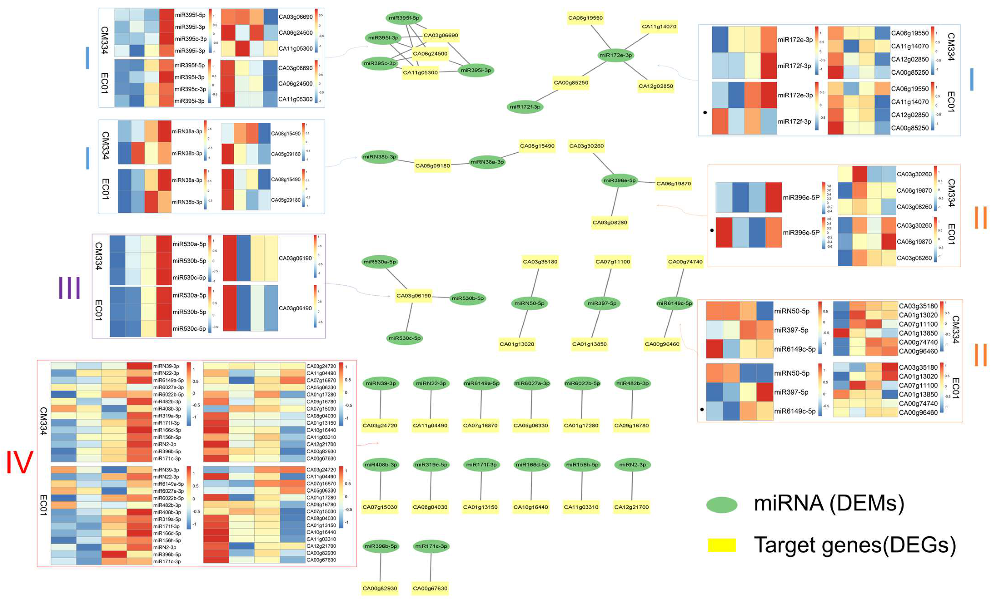 Biology 13 00186 g006