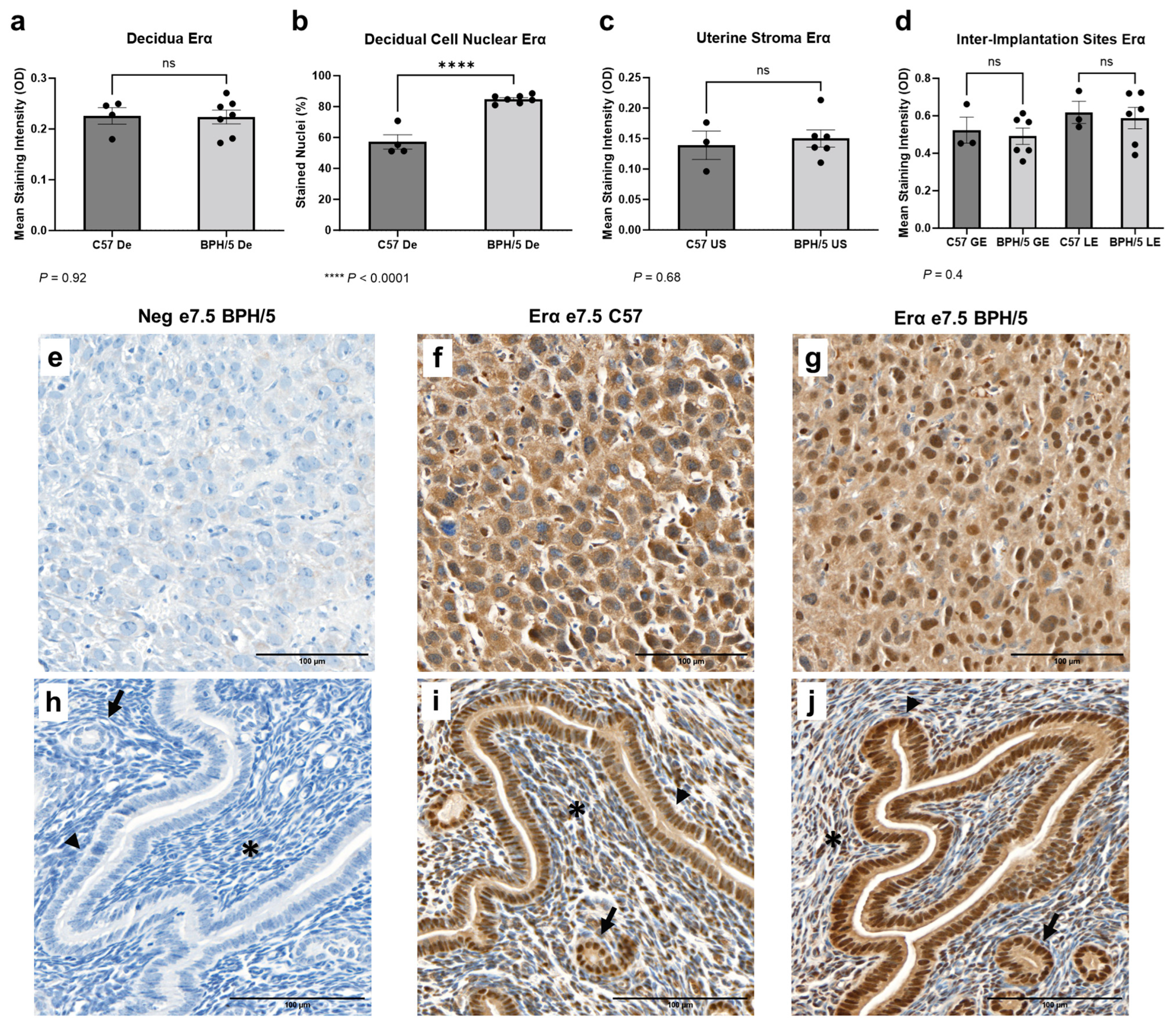 Biology 13 00192 g003 Biology 13 00192 g003