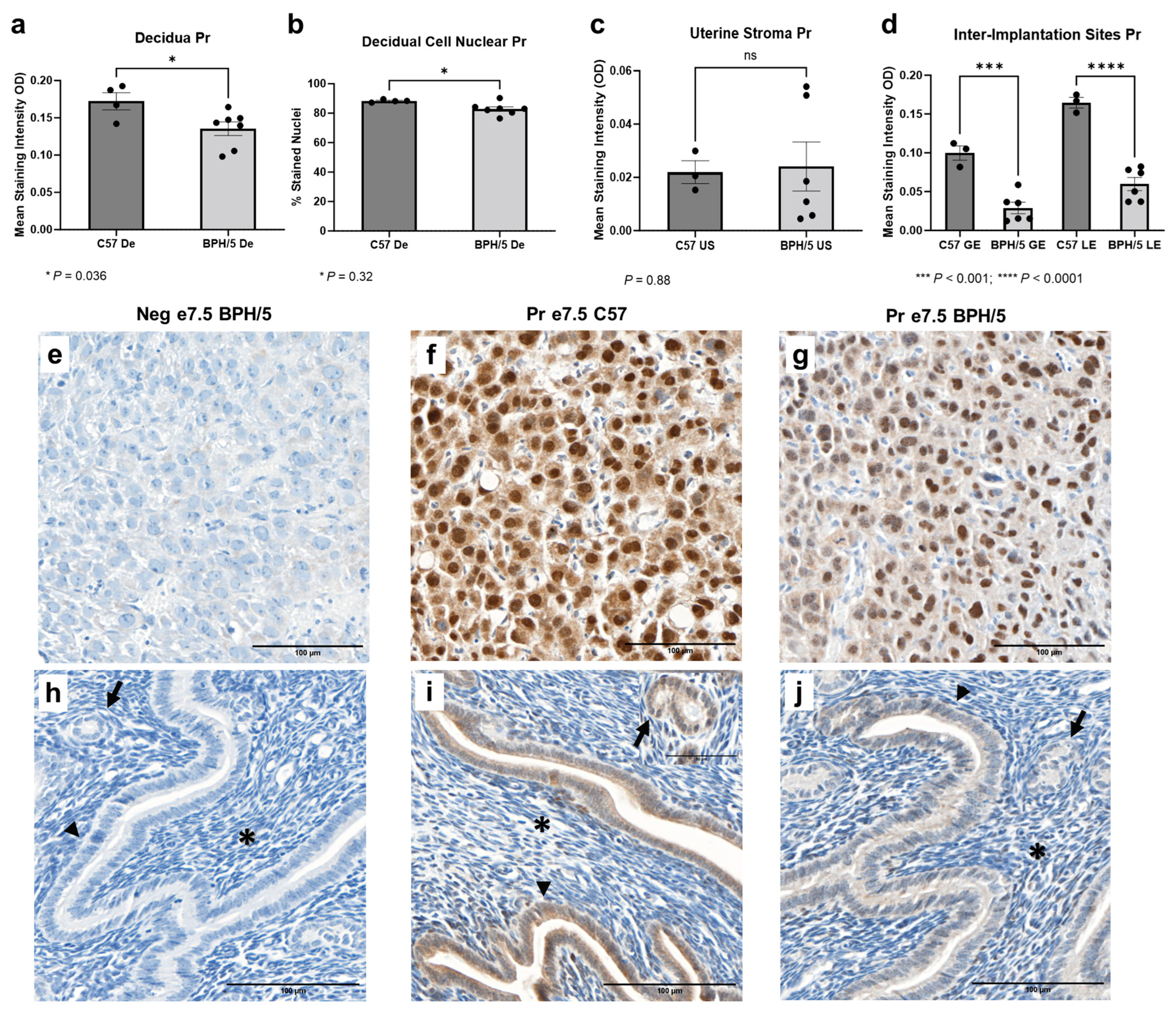 Biology 13 00192 g004 Biology 13 00192 g004