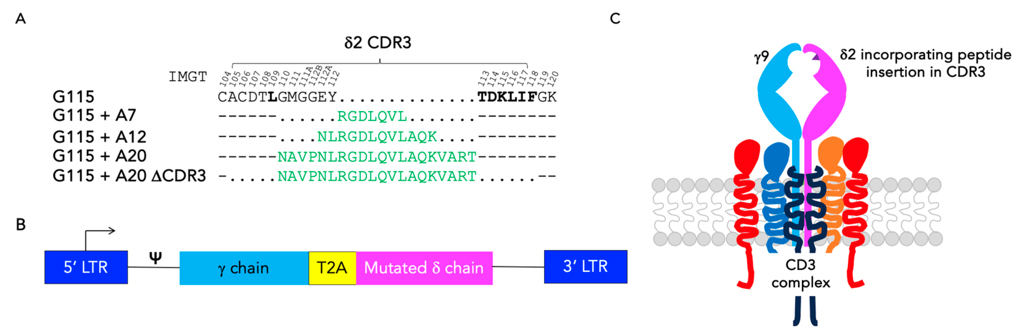 Biology 13 00196 g001