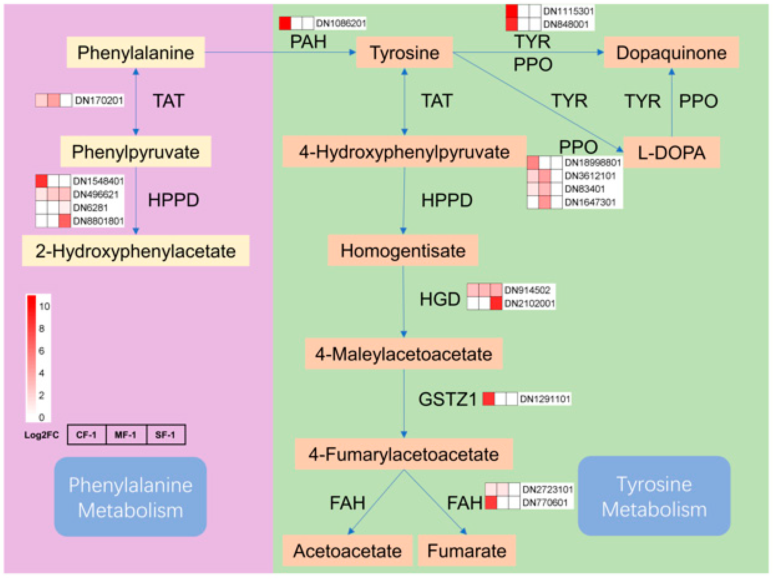 Biology 13 00197 g011